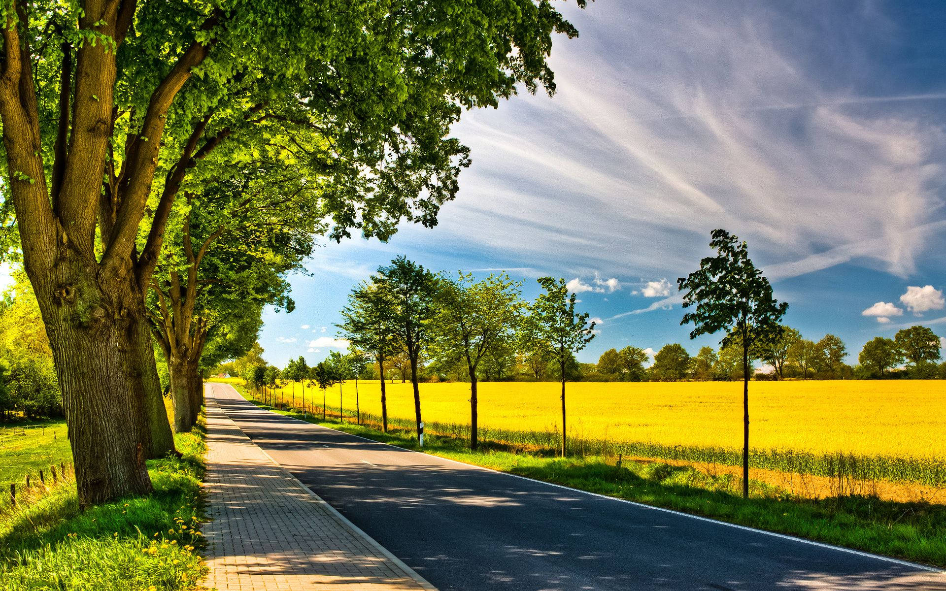 Country Road Vibrant And Lively Photograph Background
