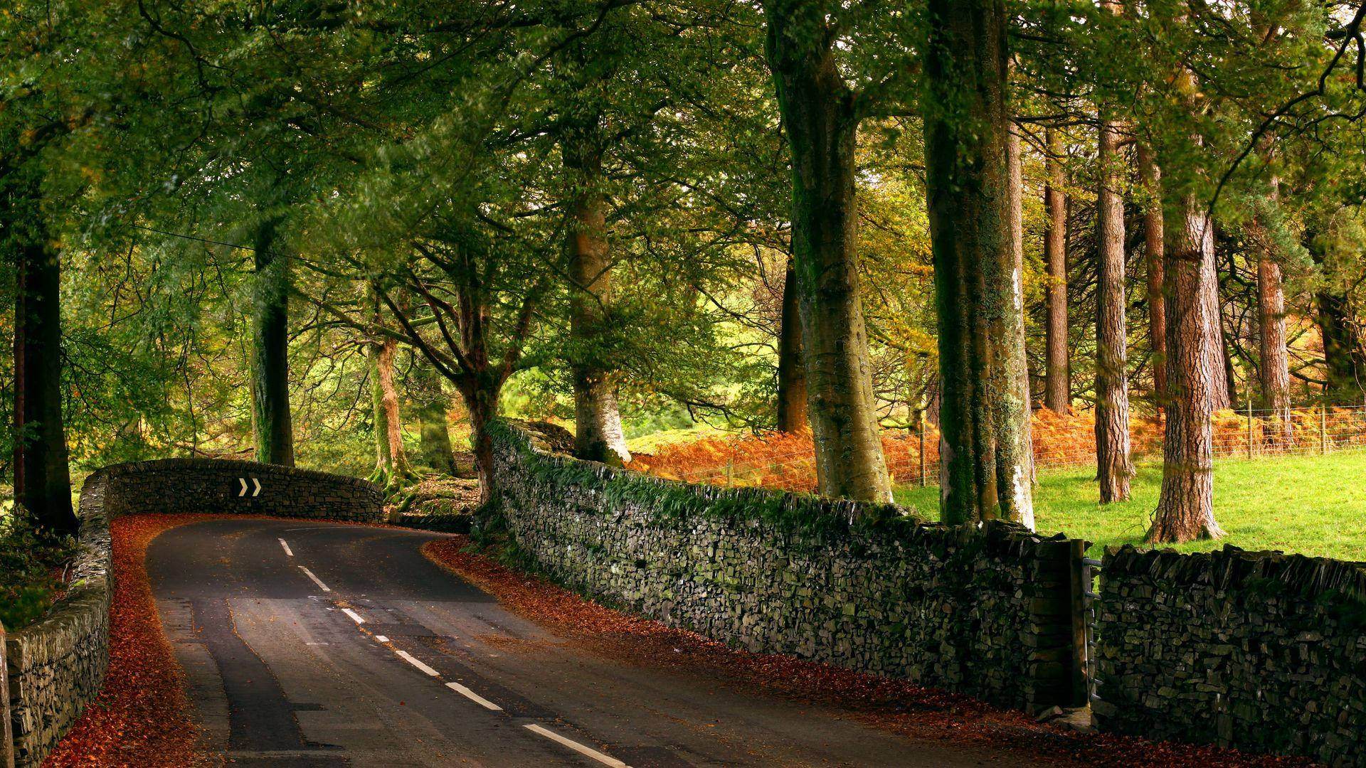 Country Road With Moss Covered Wall Background