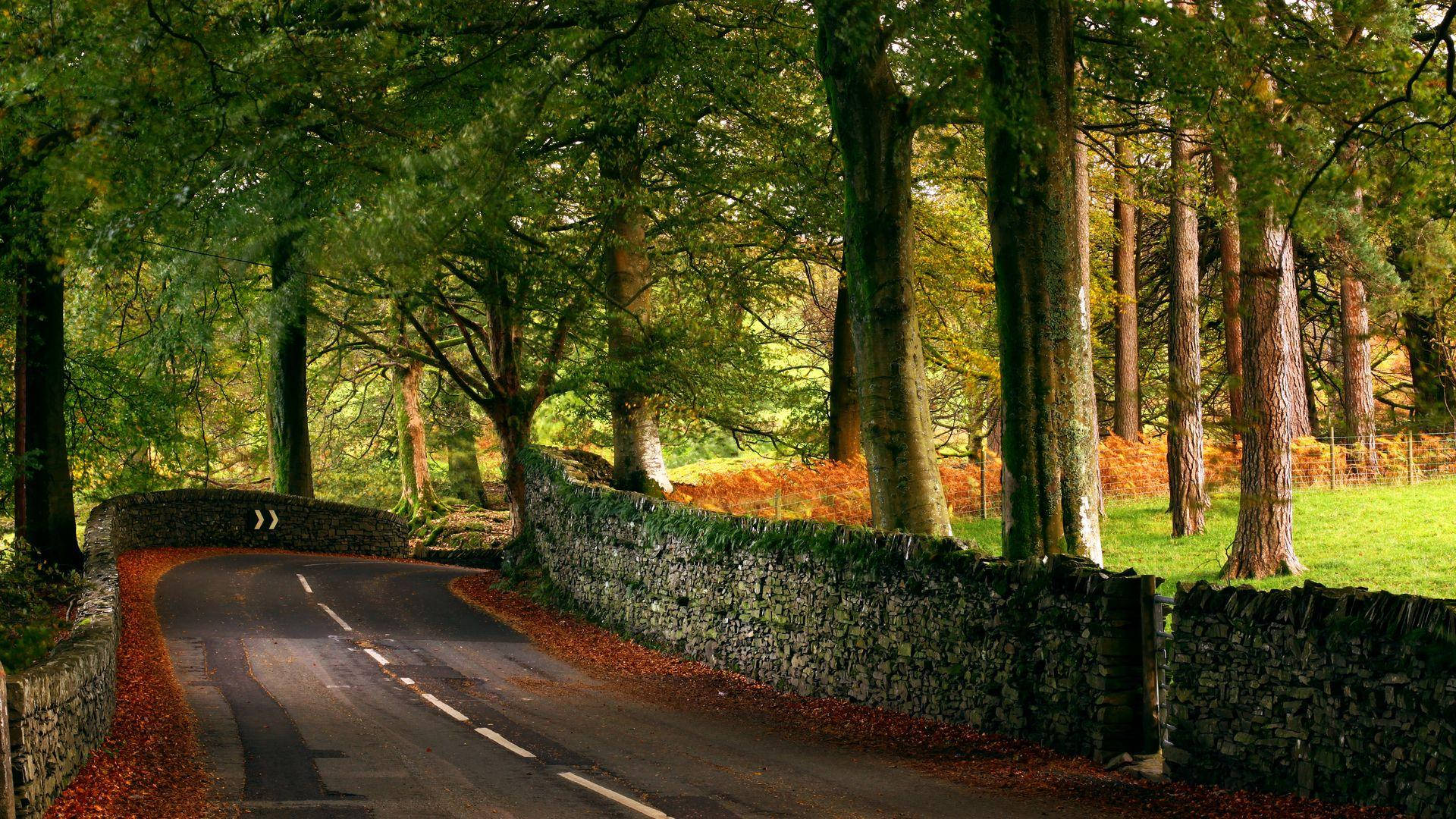 Country Road With Moss Covered Wall