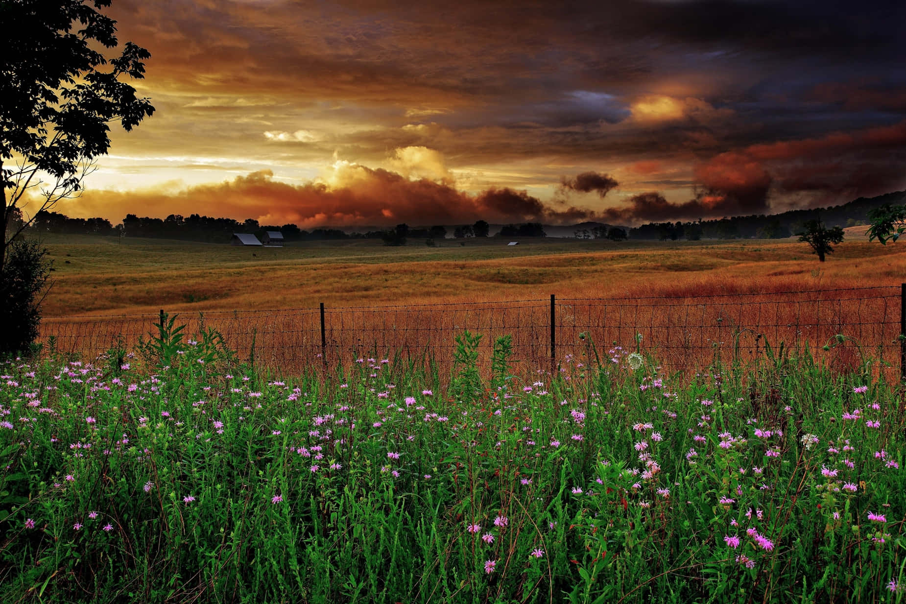 Country Scenes Digital Painting Background