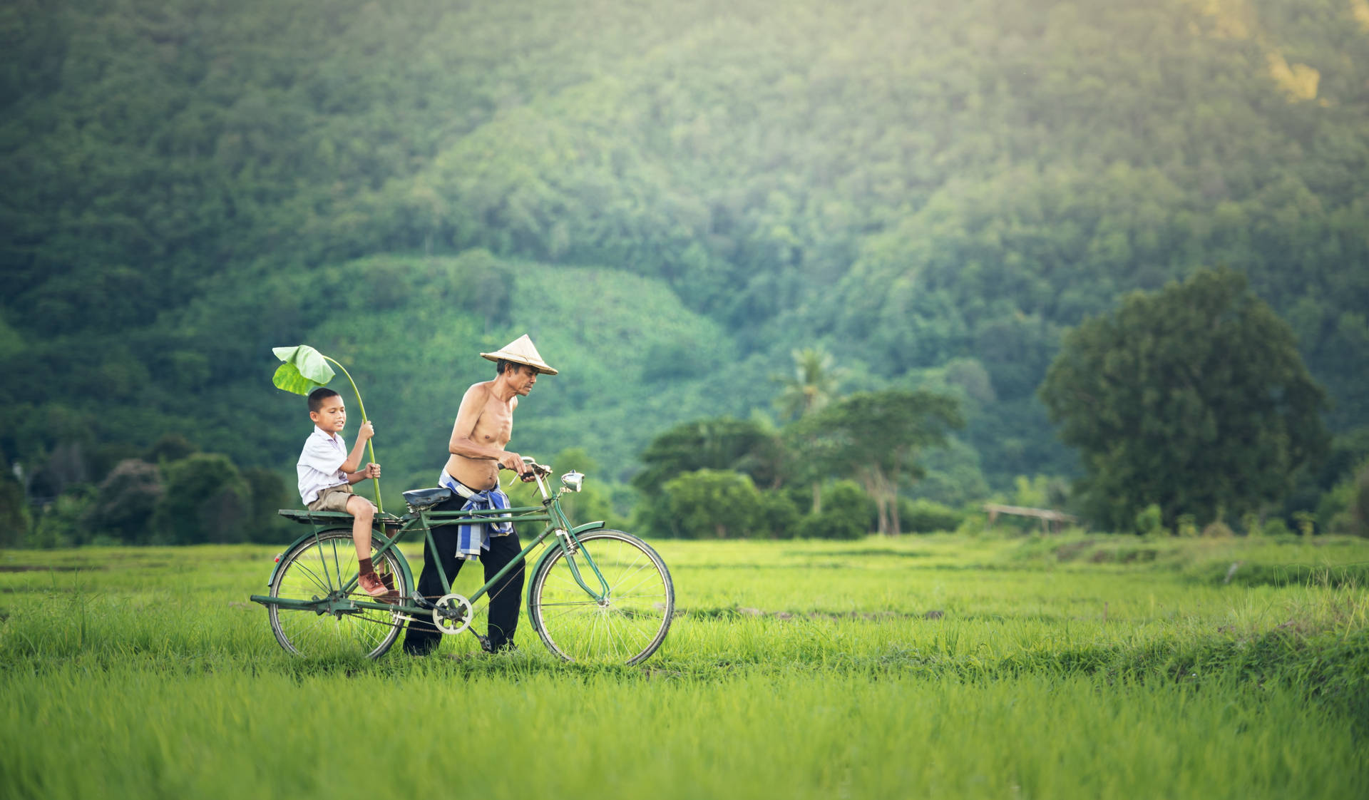 Country Summer Riding Bike Background