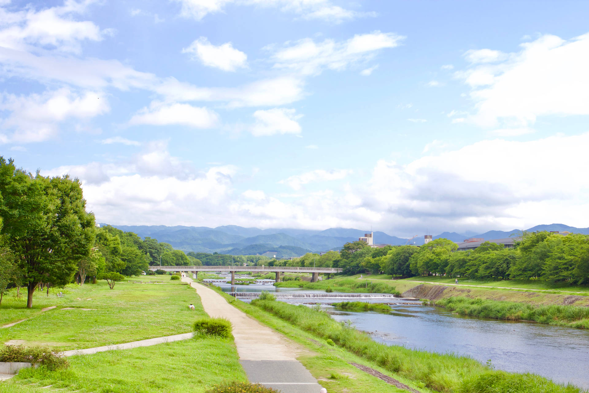 Country Summer River Path Background