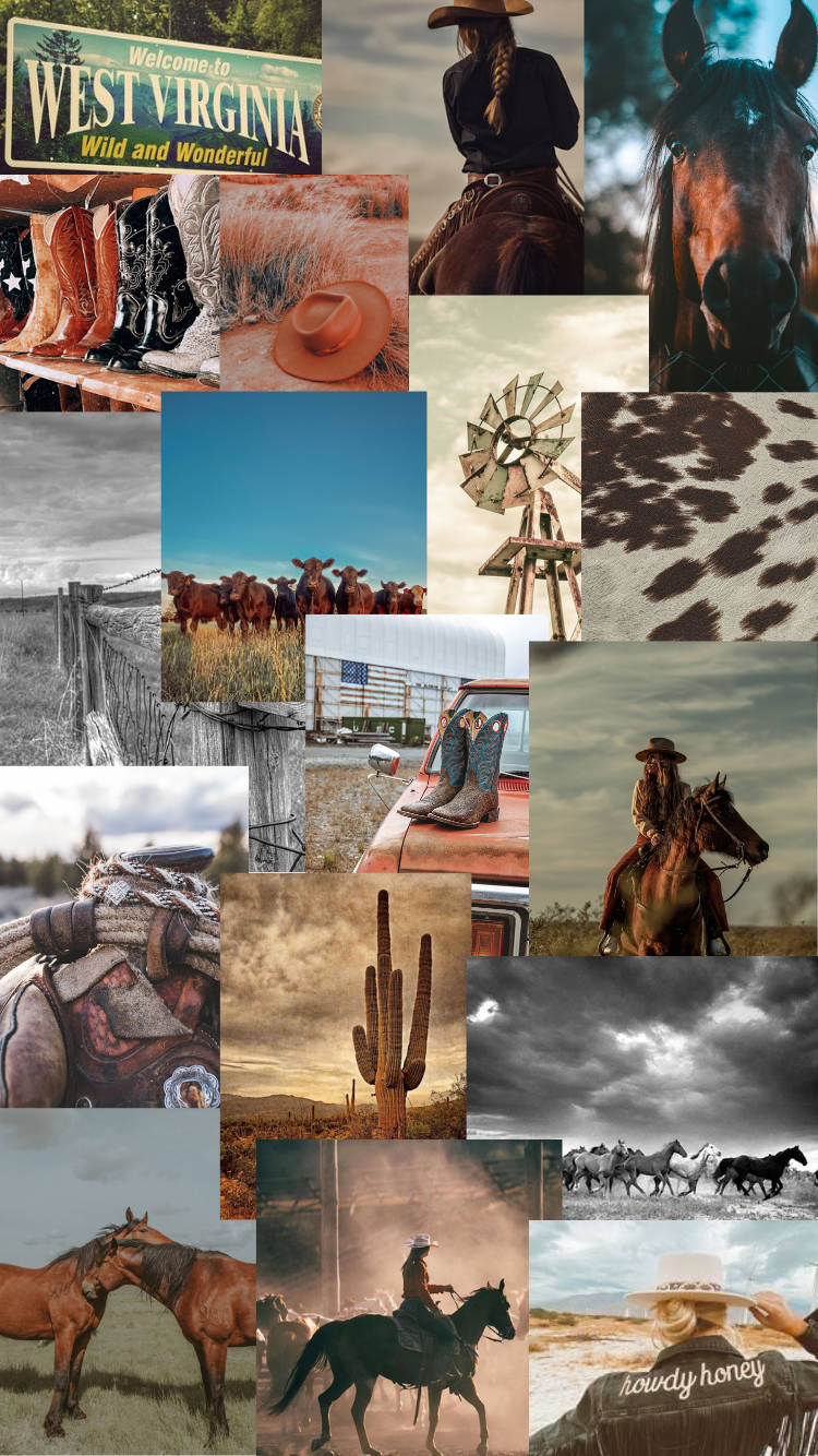 Country Western Collage Many Things Background