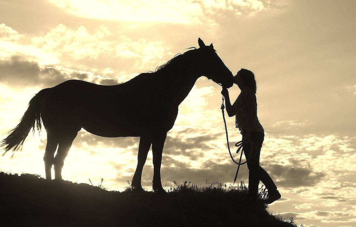 Country Western Kiss Horse Background