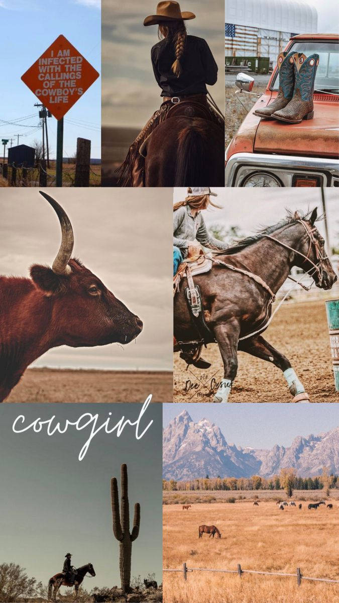 Country Western Many Horses Collage Background