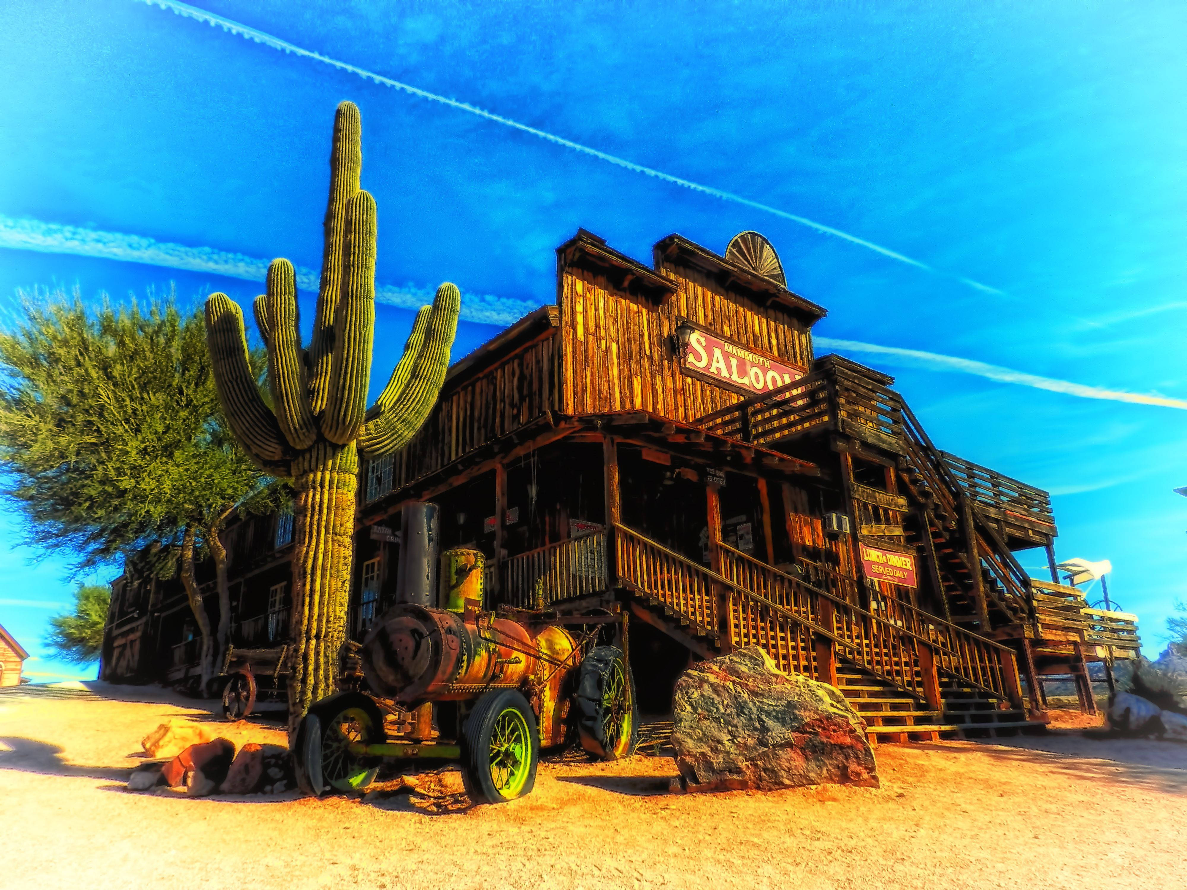 Country Western Saloon Cactus Background