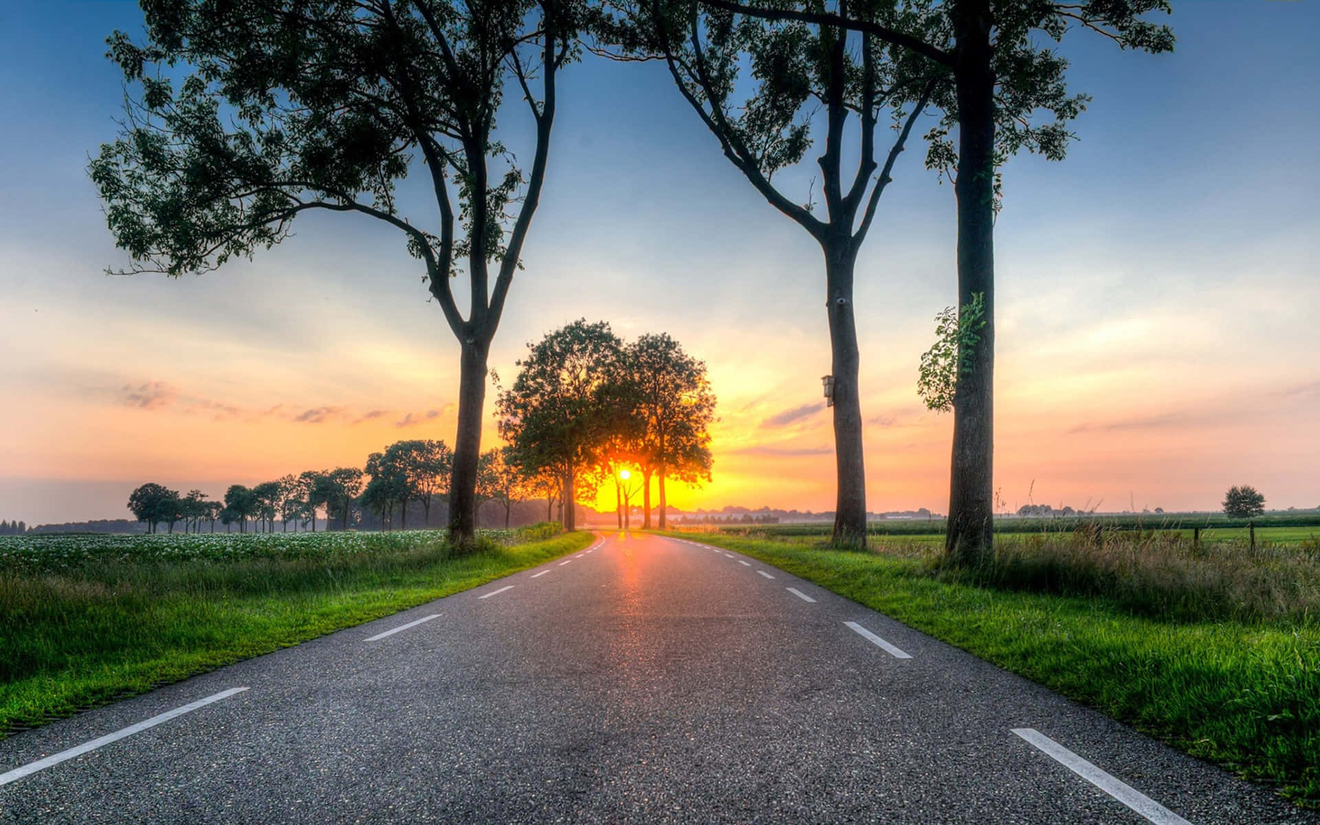 Countryside Road Trees At Sunset