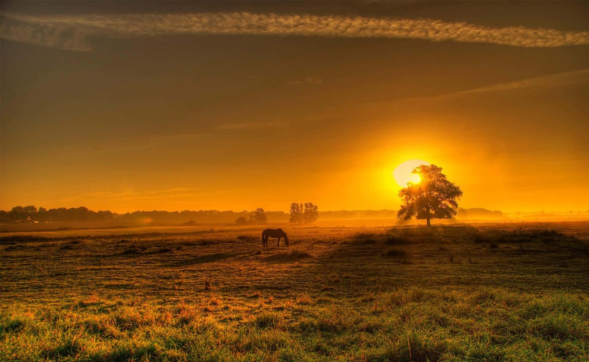 Countryside Sunset In Germany