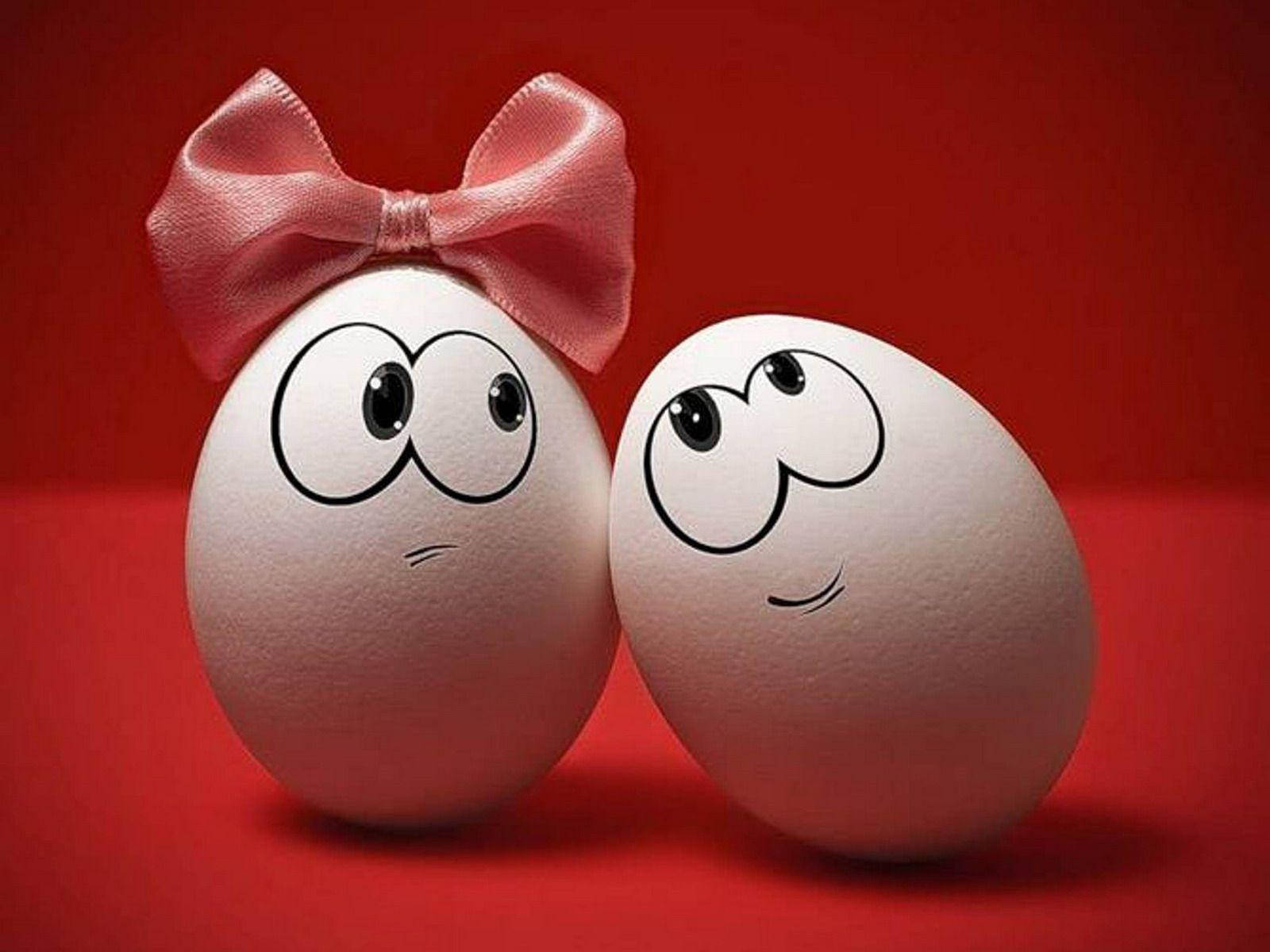 Couple Eggs Funny Laptop Background
