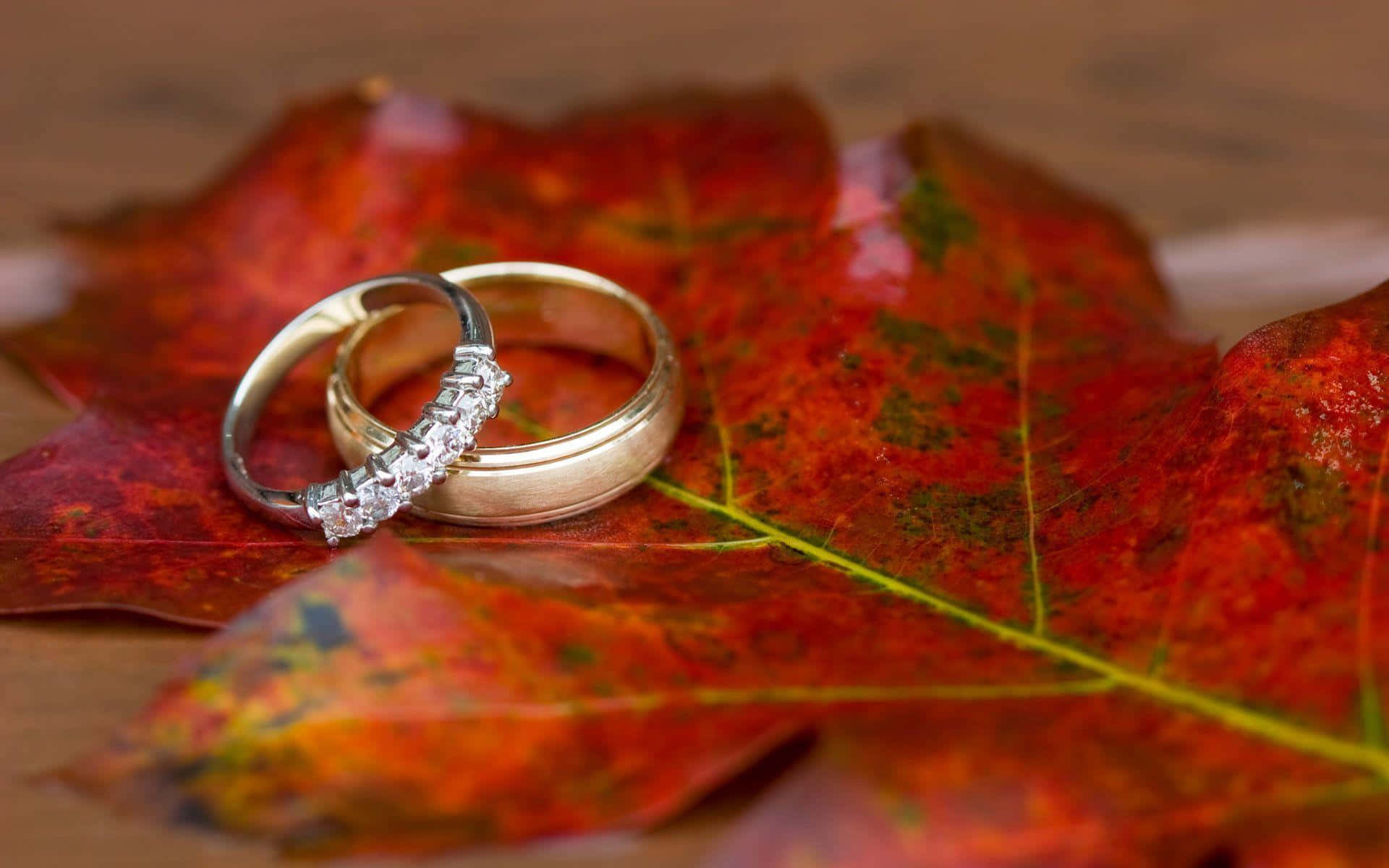 Couple Engagement Rings Fall Leaf