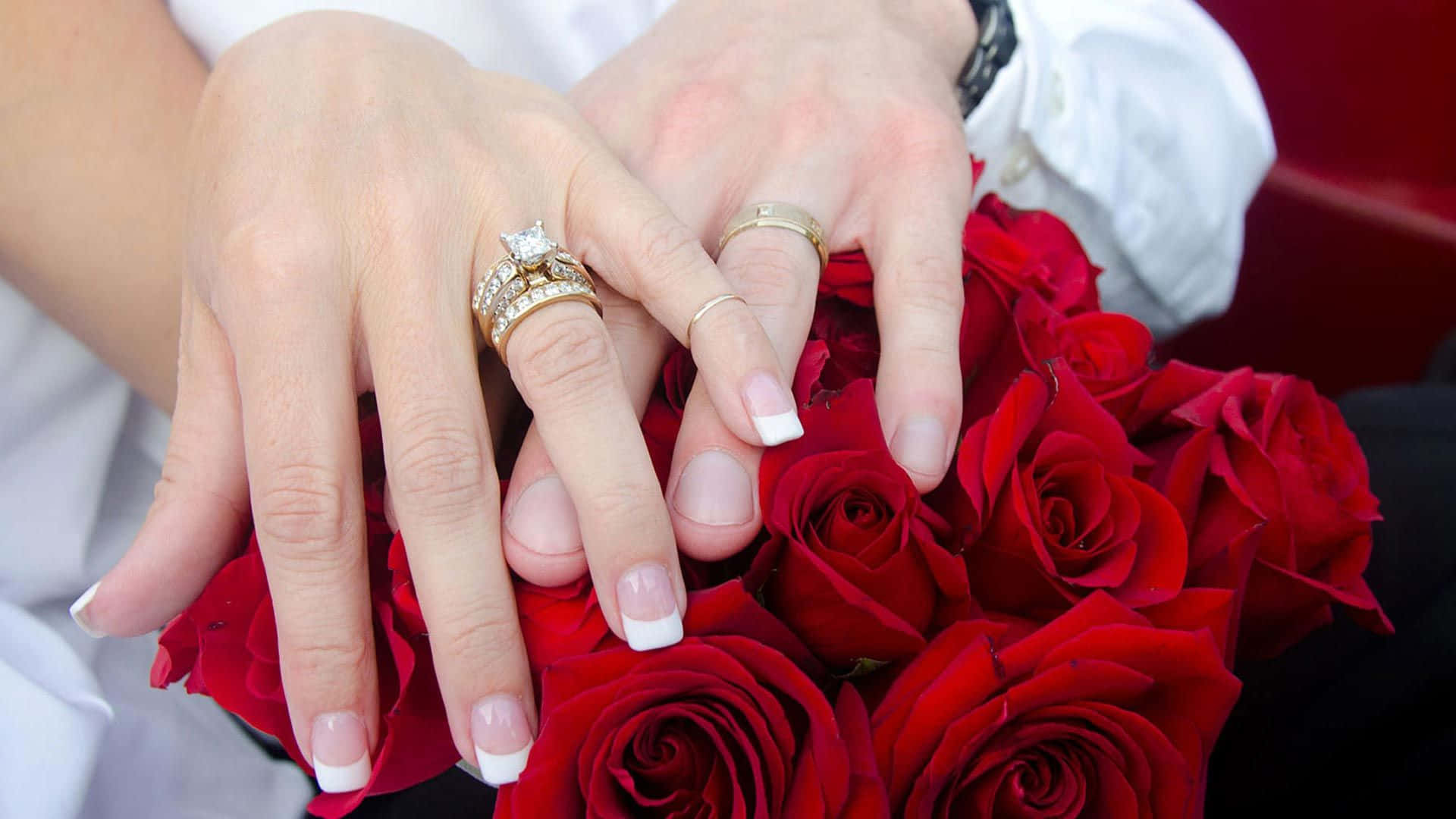 Couple Engagement Rings Red Rose Background