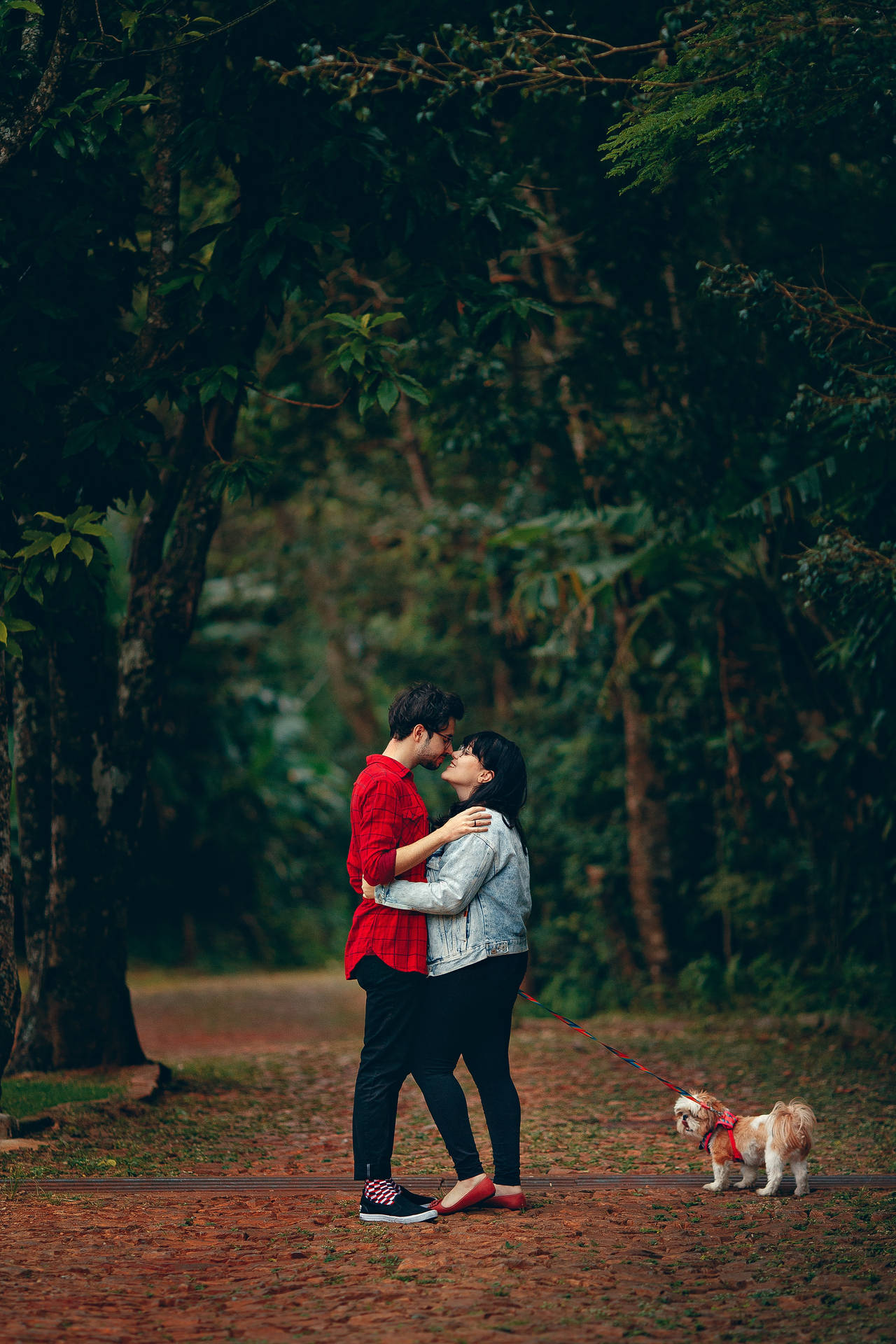 Couple In Love And A Puppy