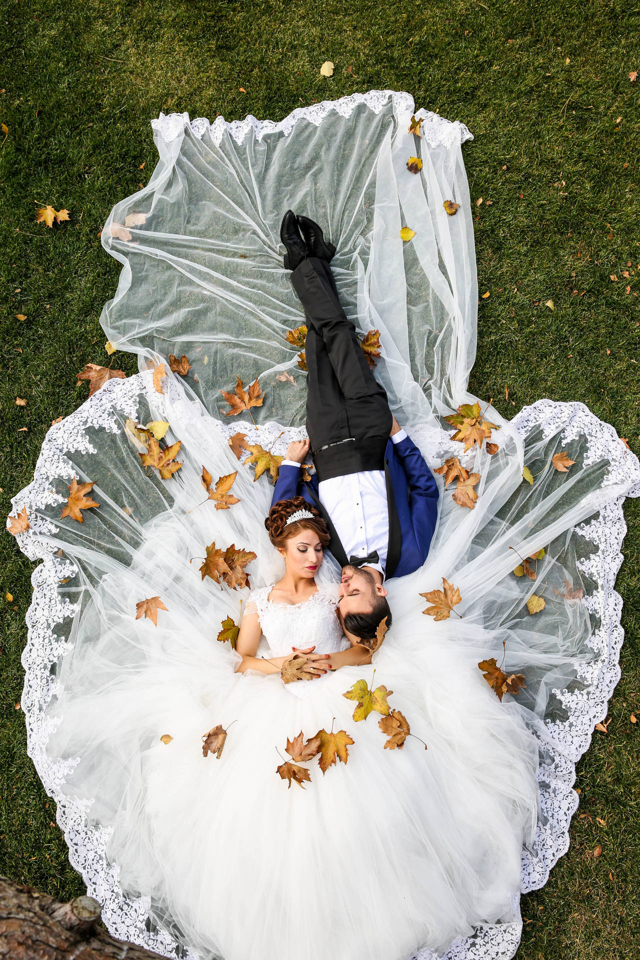 Couple In Love Bride And Groom Background