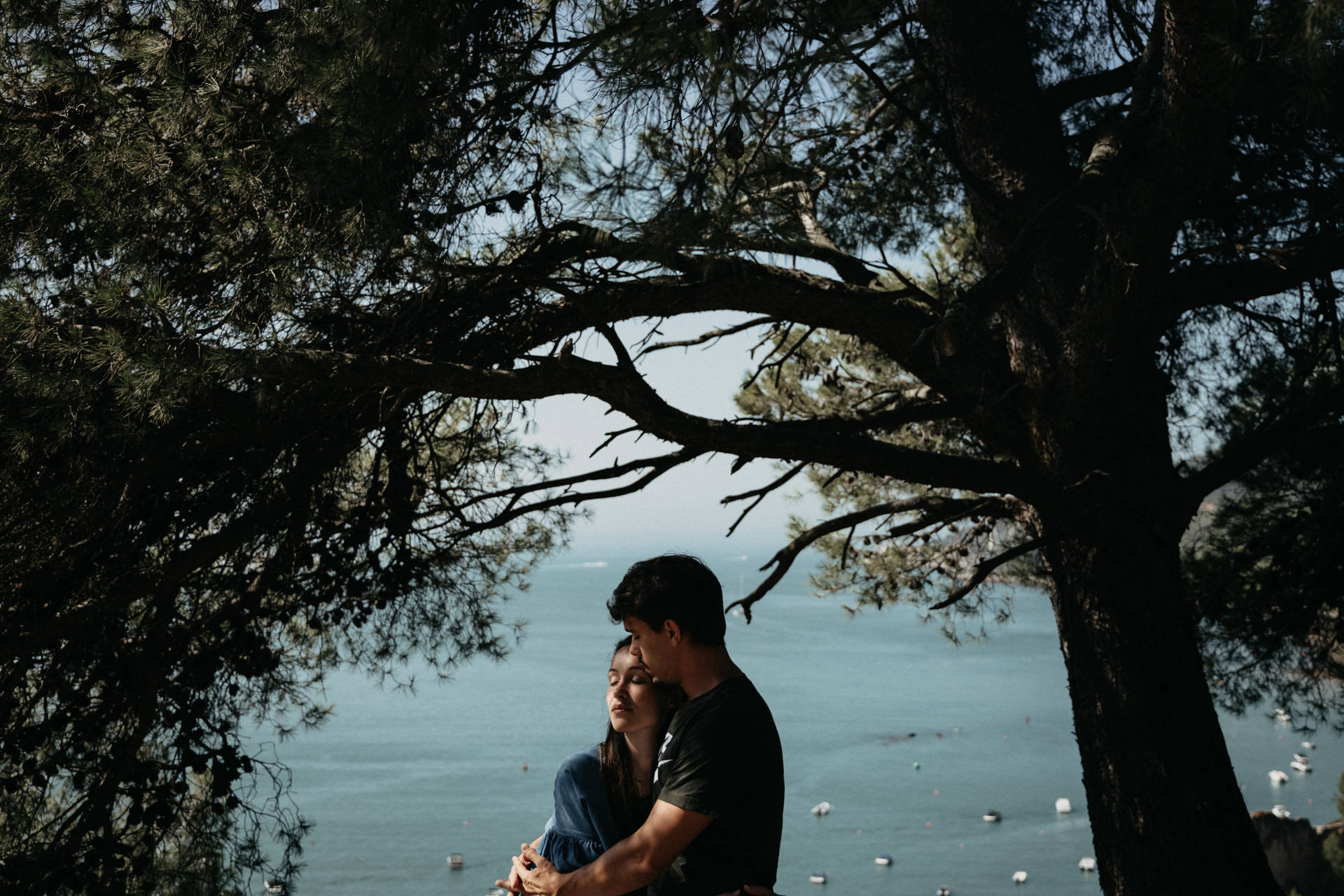 Couple In Love Under A Tree Background