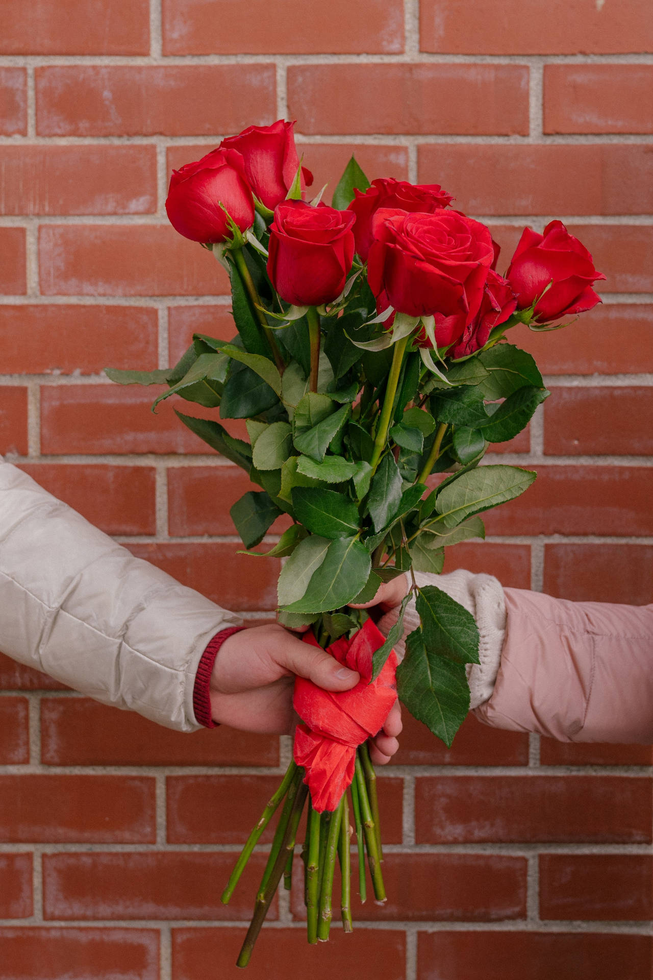 Couple Red Roses Brick Wall Background