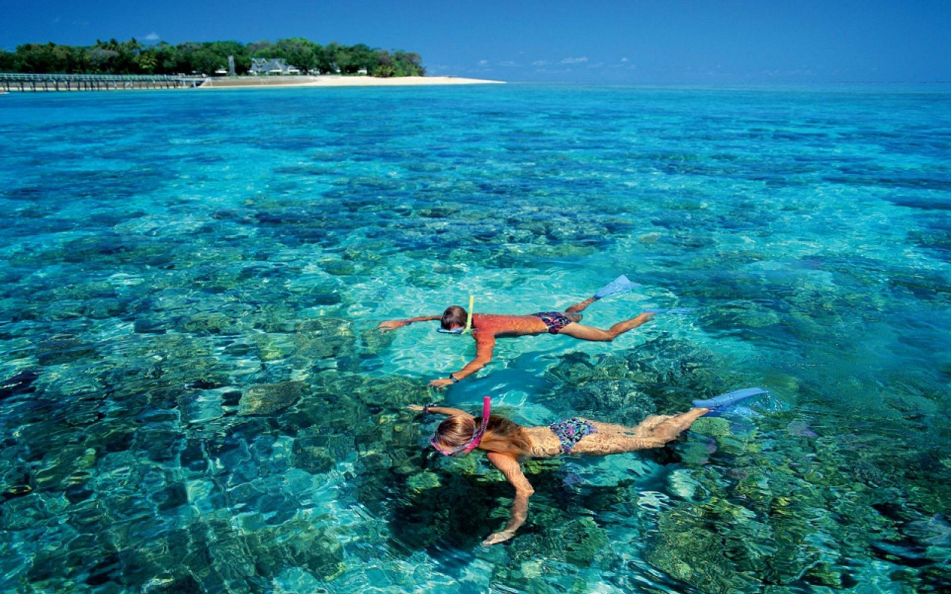 Couple Snorkeling Together During Daytime Background
