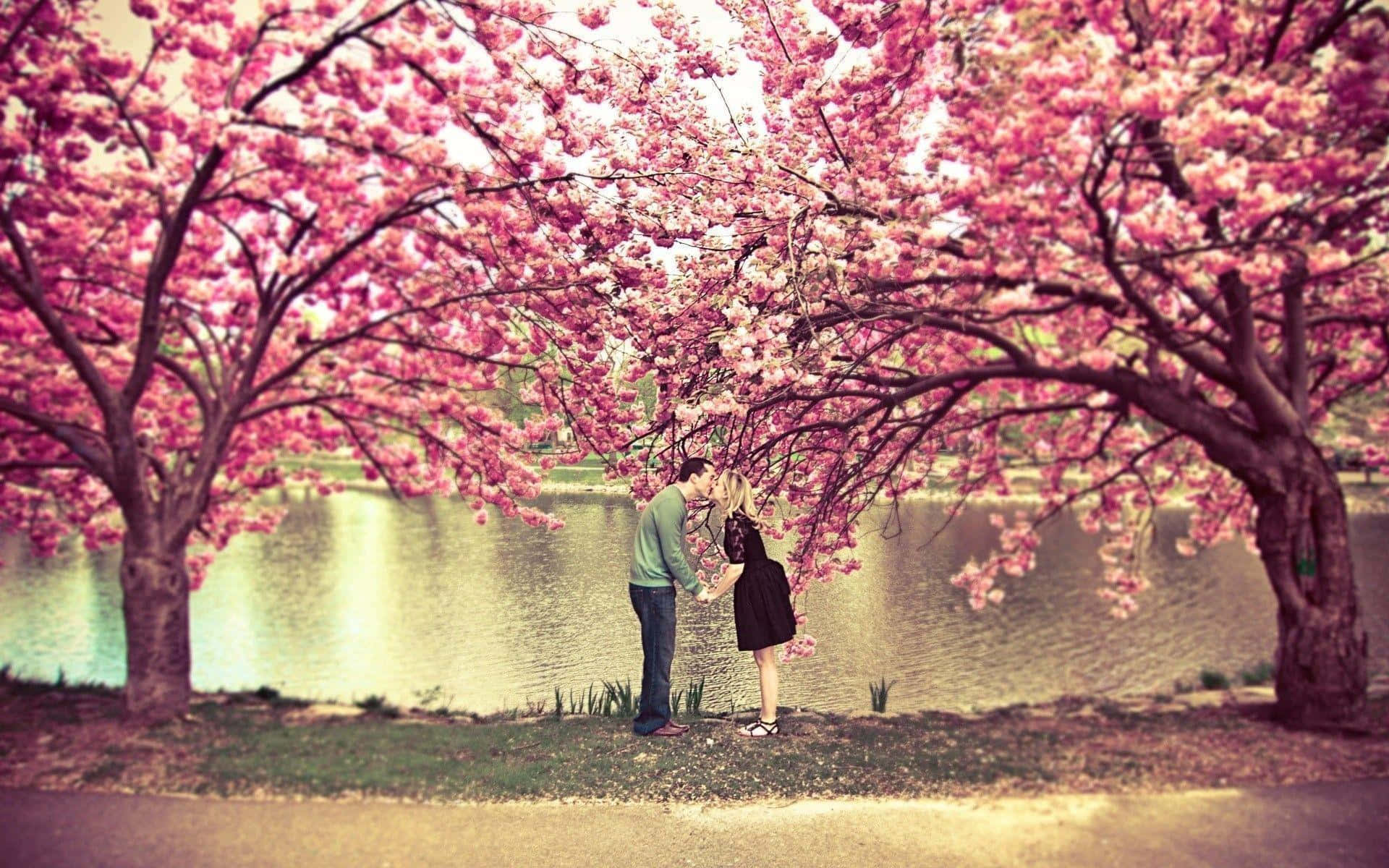 Couple Standing Between Pink Trees Background