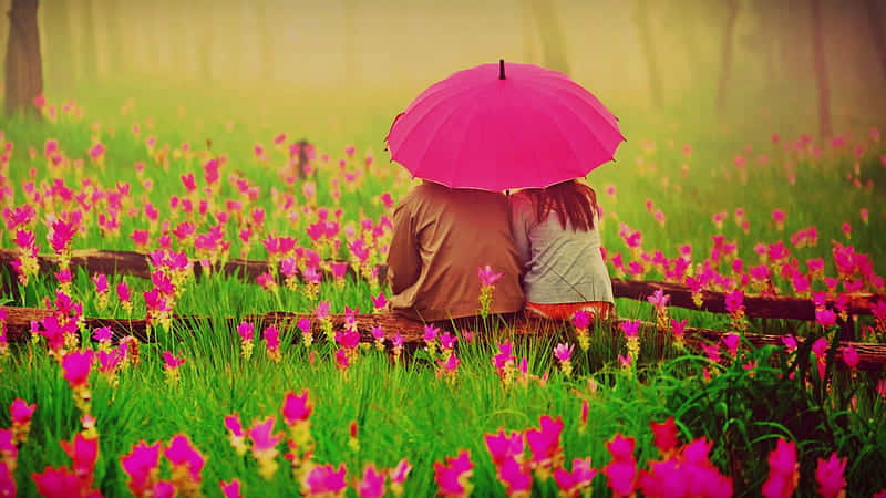 Couple Under Pink Umbrellain Flower Field Background
