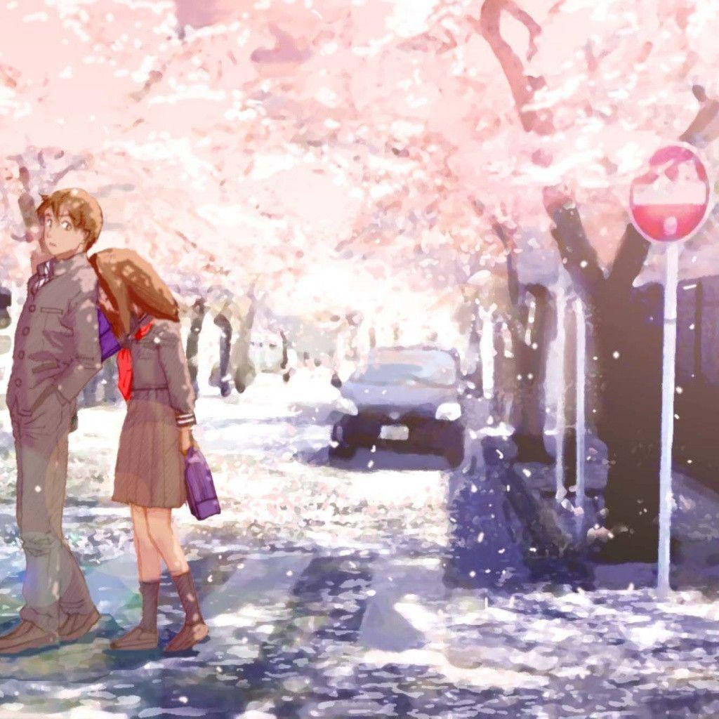 Couple With Sakura Trees Love Anime Background