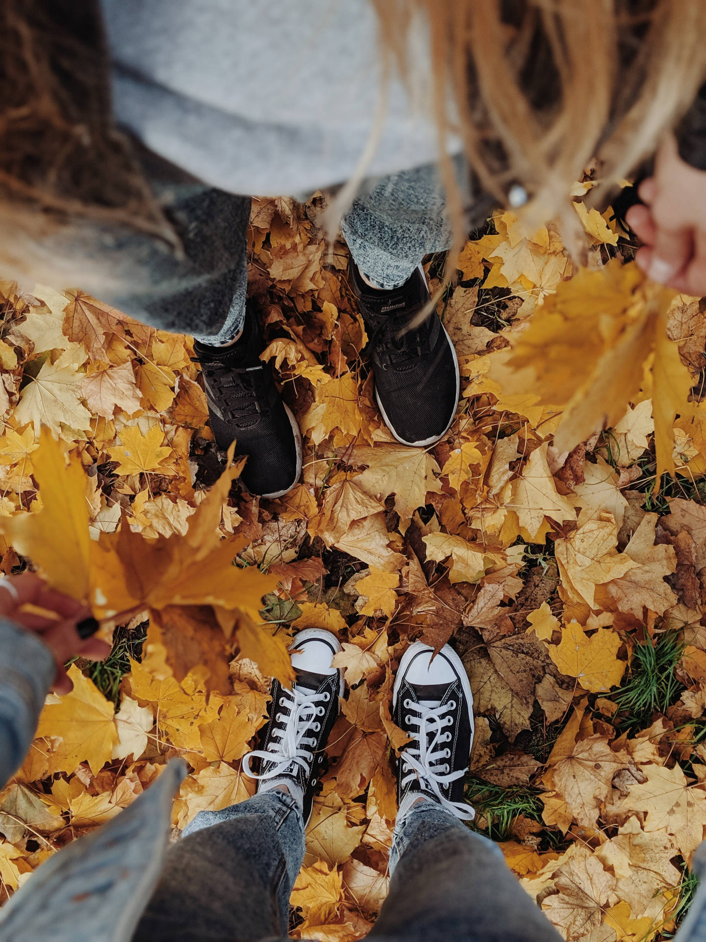 Couples Standing On Fall Leaves Background