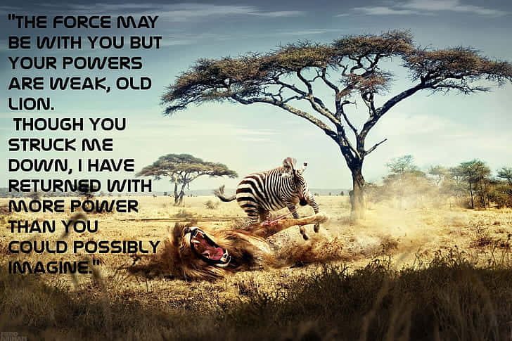 “courage: A Lion Never Yields.” Background