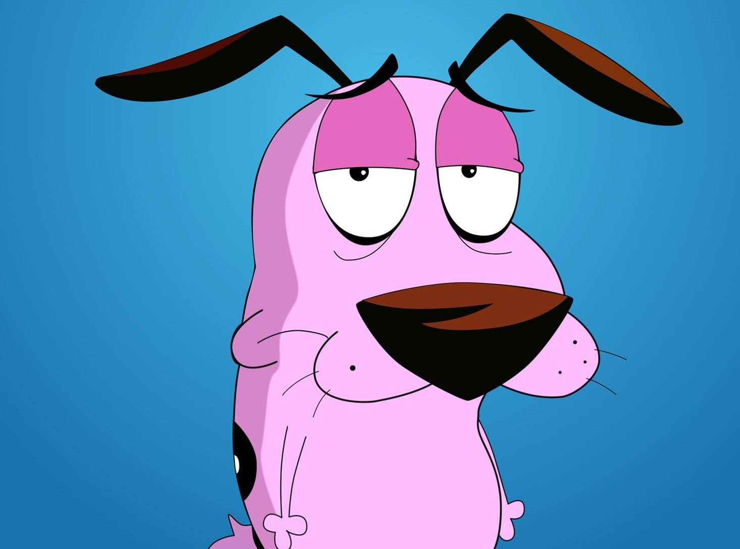 Courage Dog Cartoon Network Characters