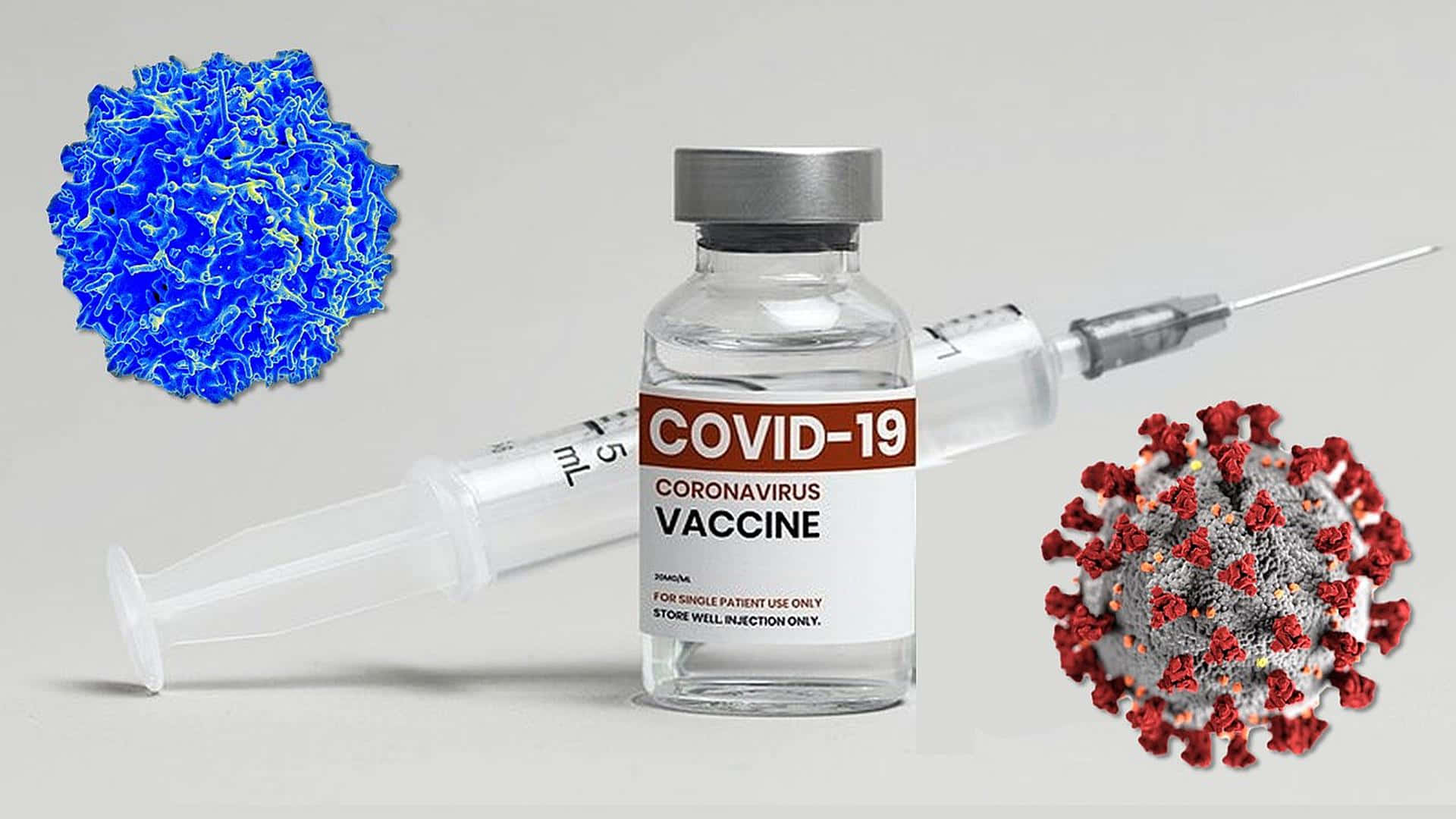Covid-19 Coronavirus Vaccine Background