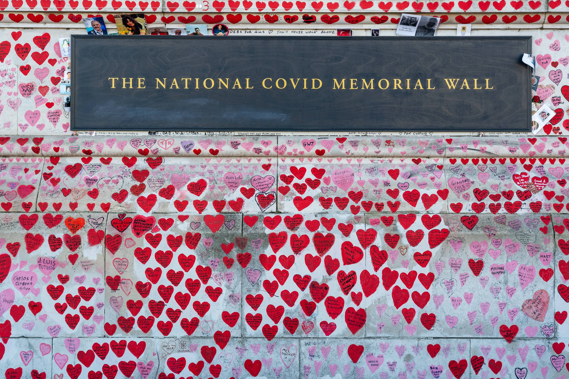 Covid Memorial Wall Remembrance Day Background
