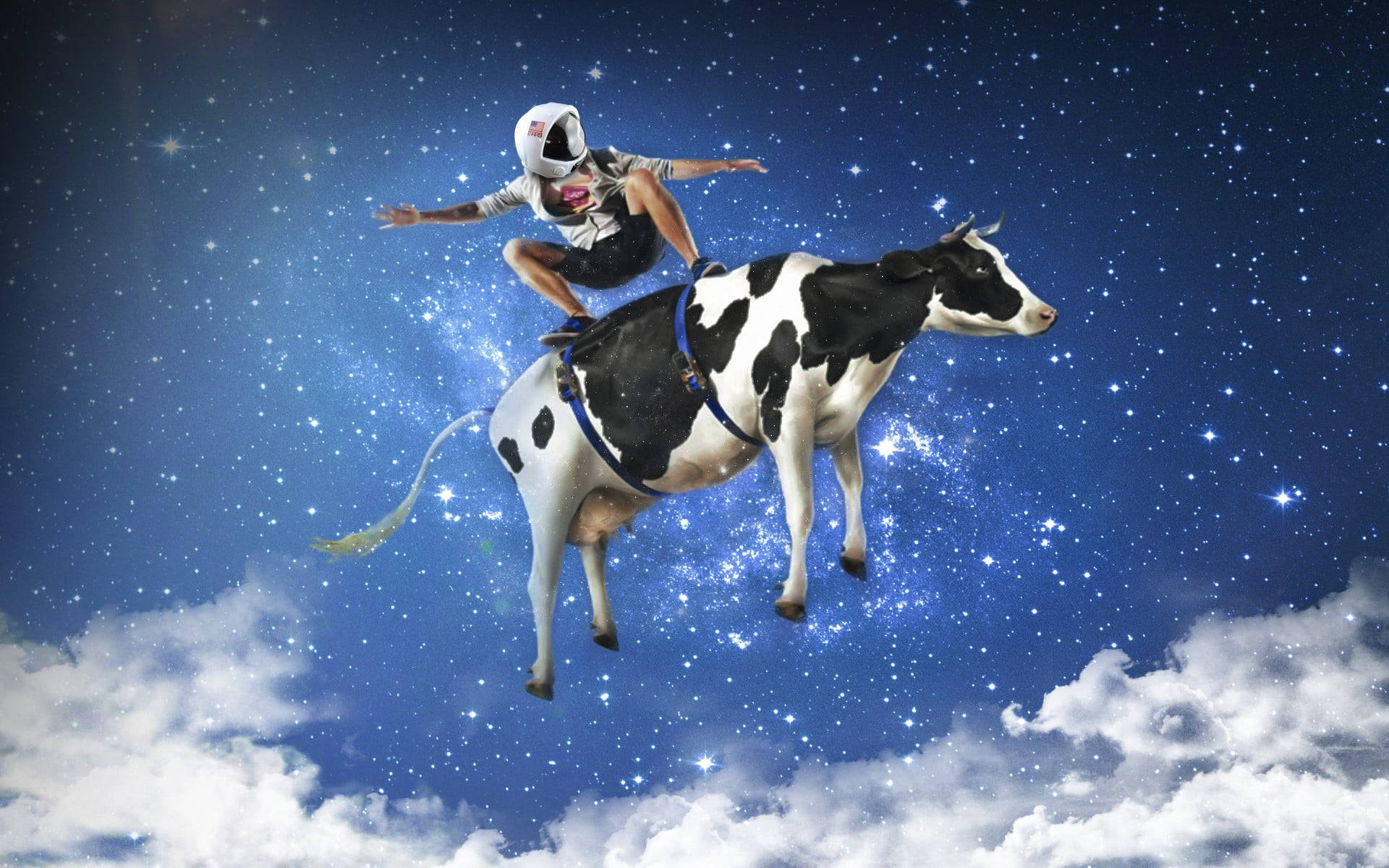 Cow In Space Photoshop Hd