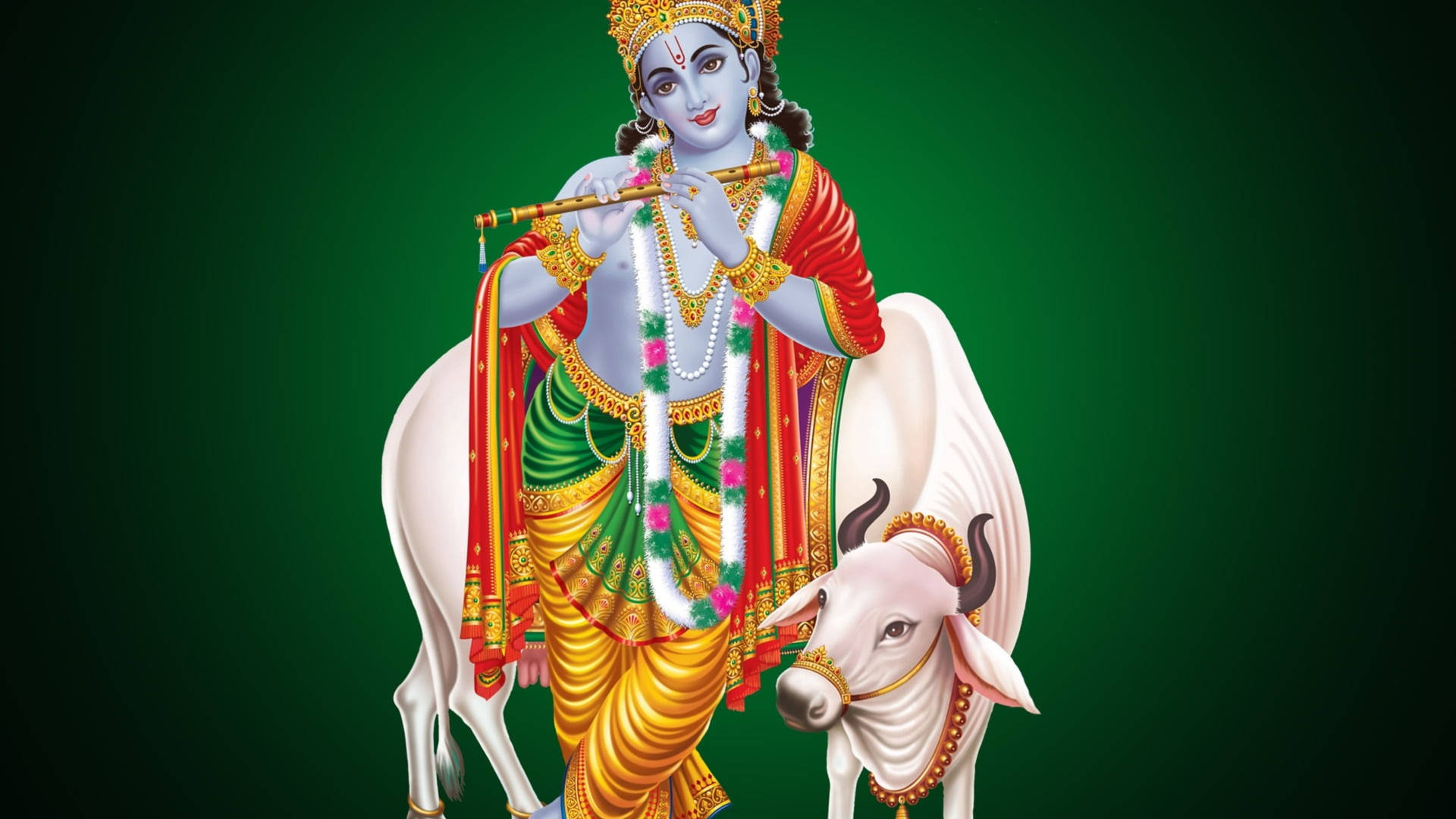 Cow With Krishna 4k Background