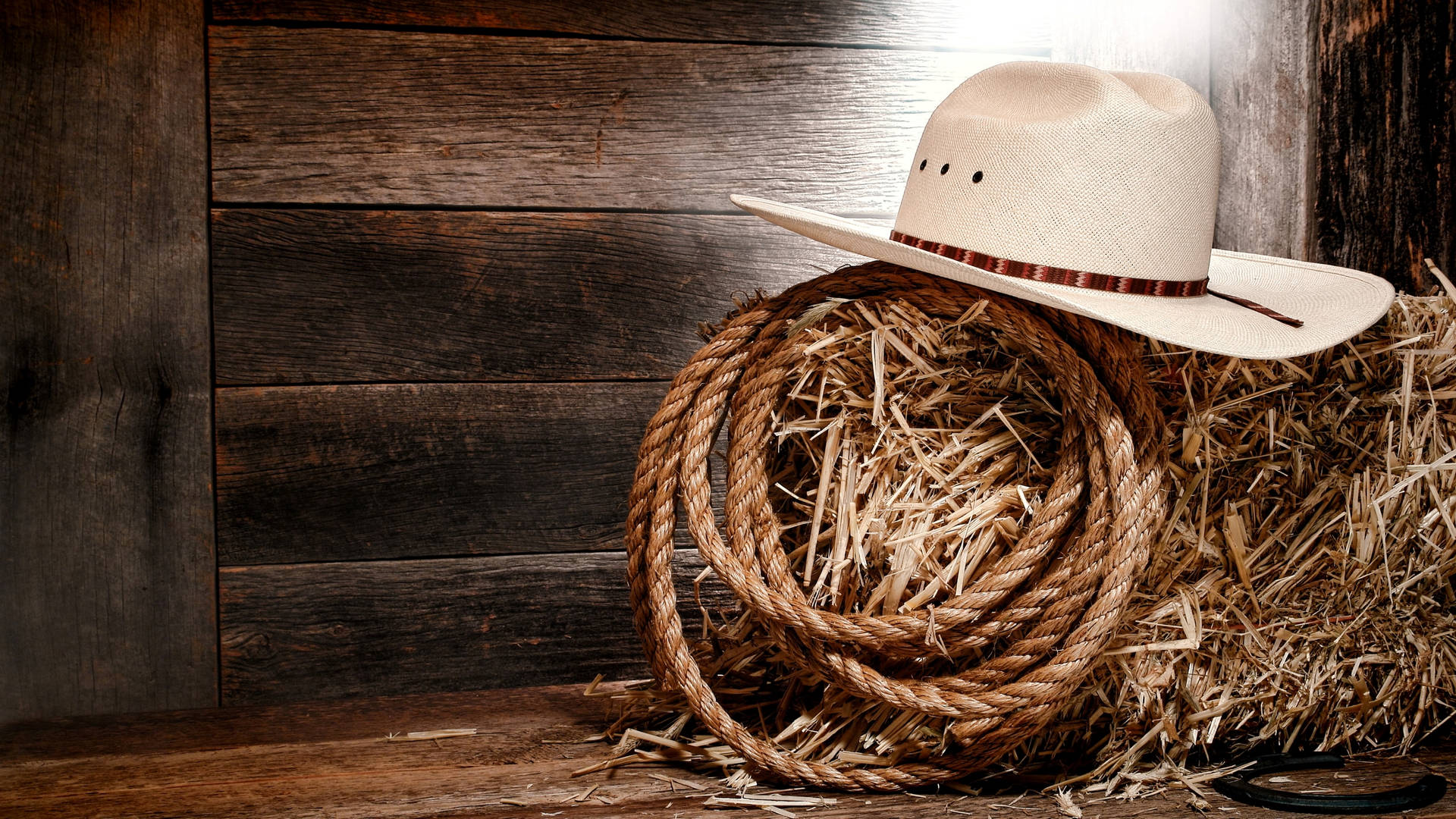 Cowboy Hat And Lasso Background