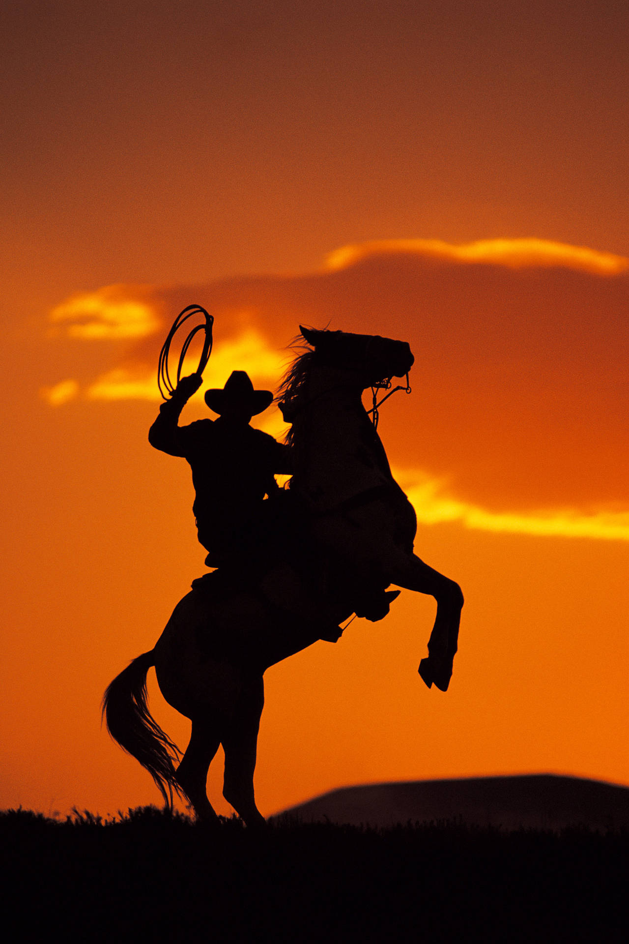 Cowboy Horse Sunset Background
