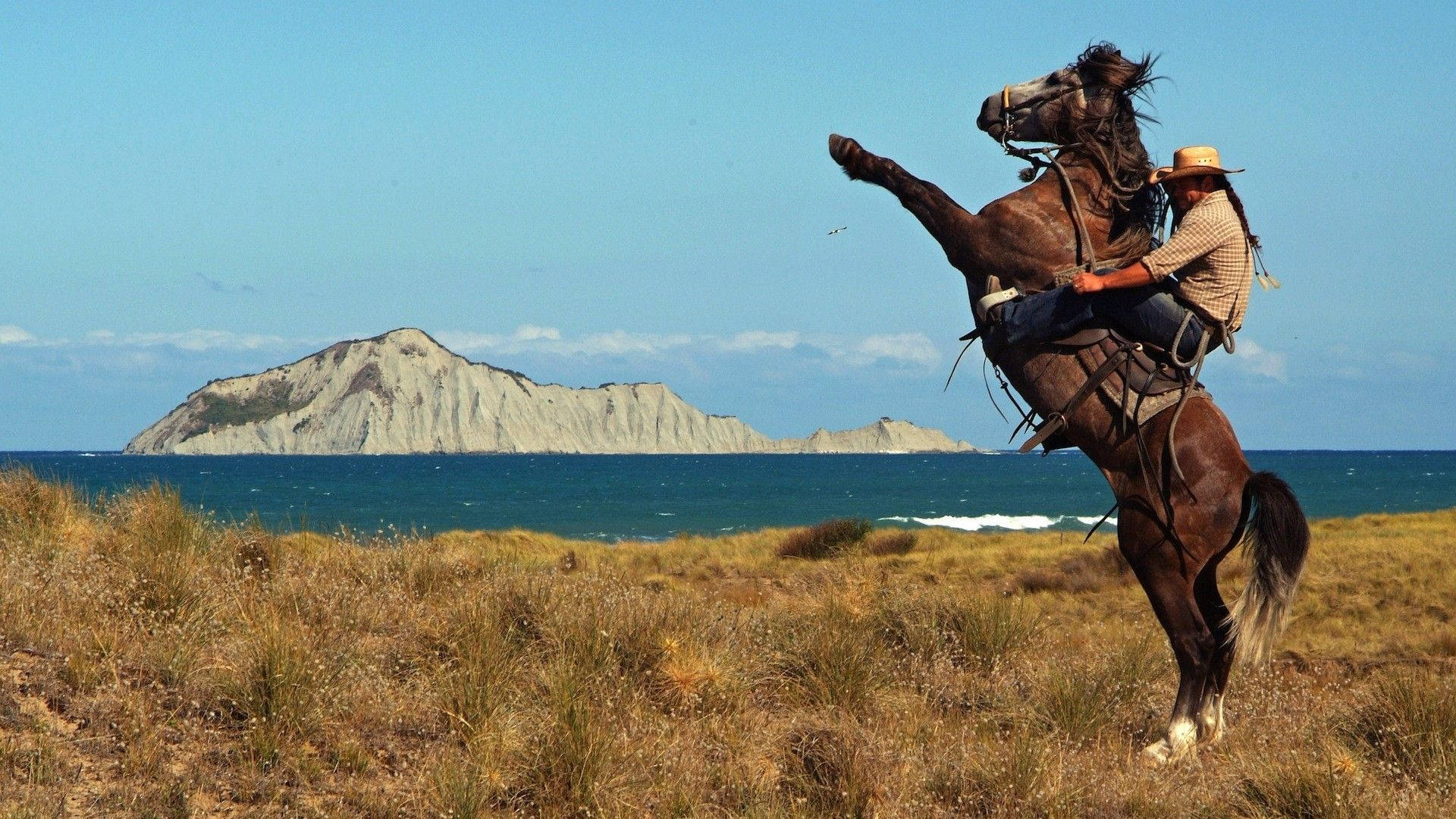Cowboy Rearing Horse Background