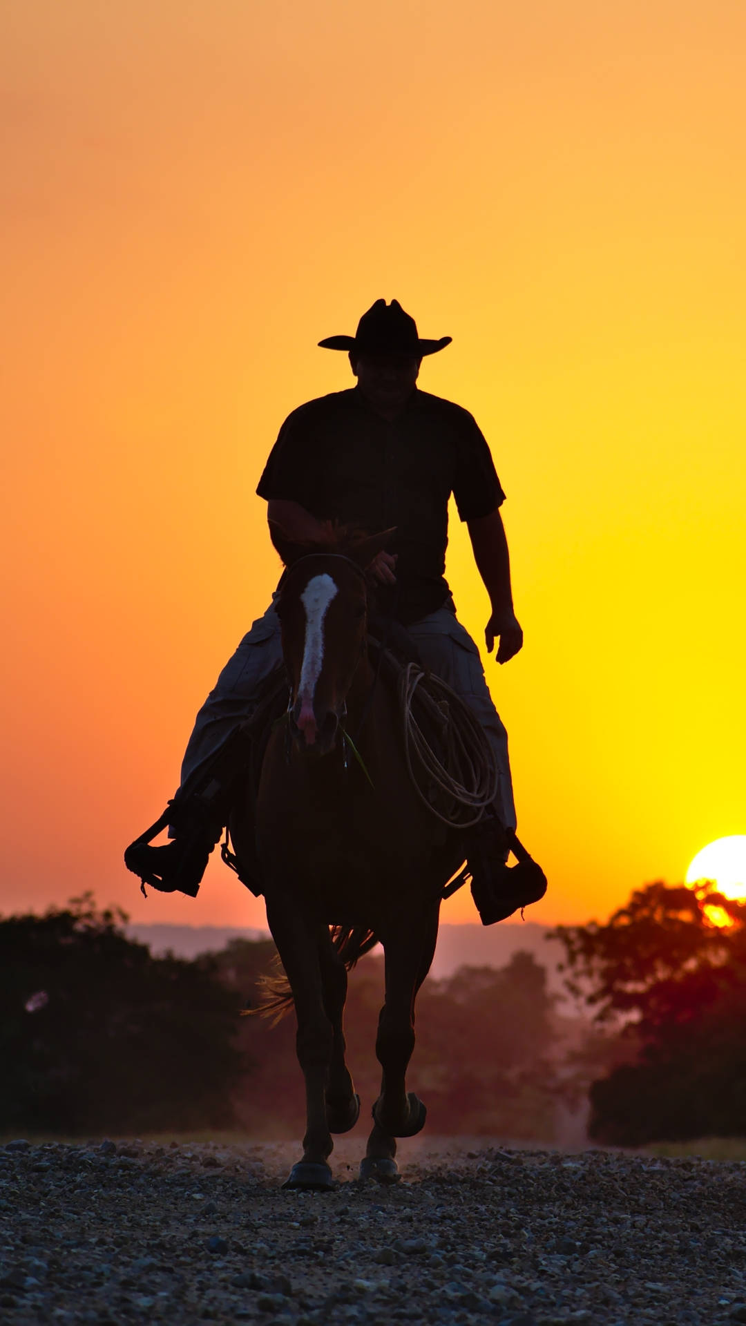 Cowboy Silhouette On Sunset Background