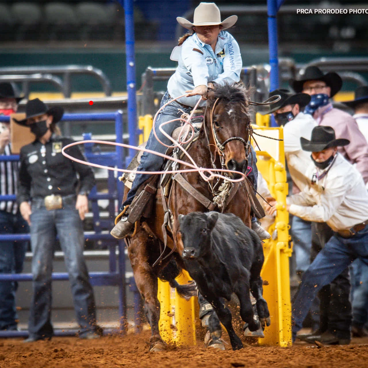 Cowboys In Action During Team Roping