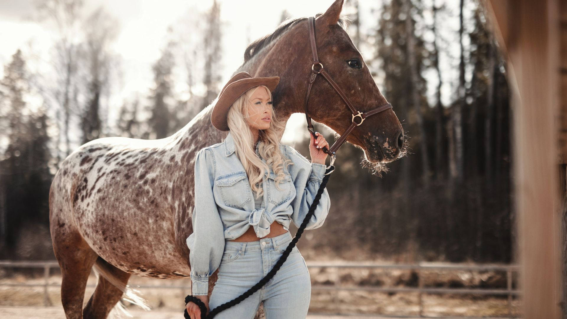 Cowgirl Holding A Horse Background