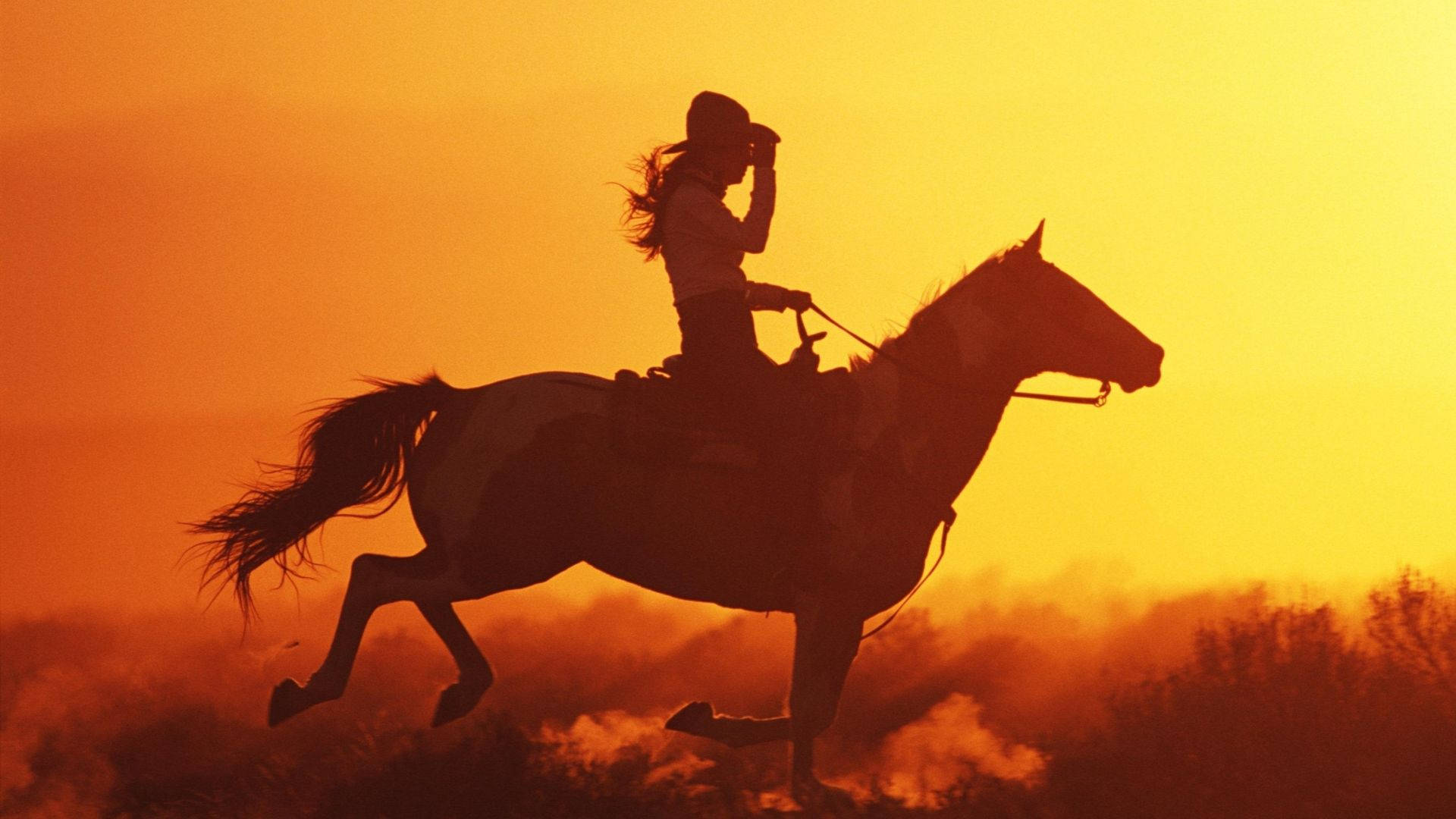 Cowgirl On Horse Background