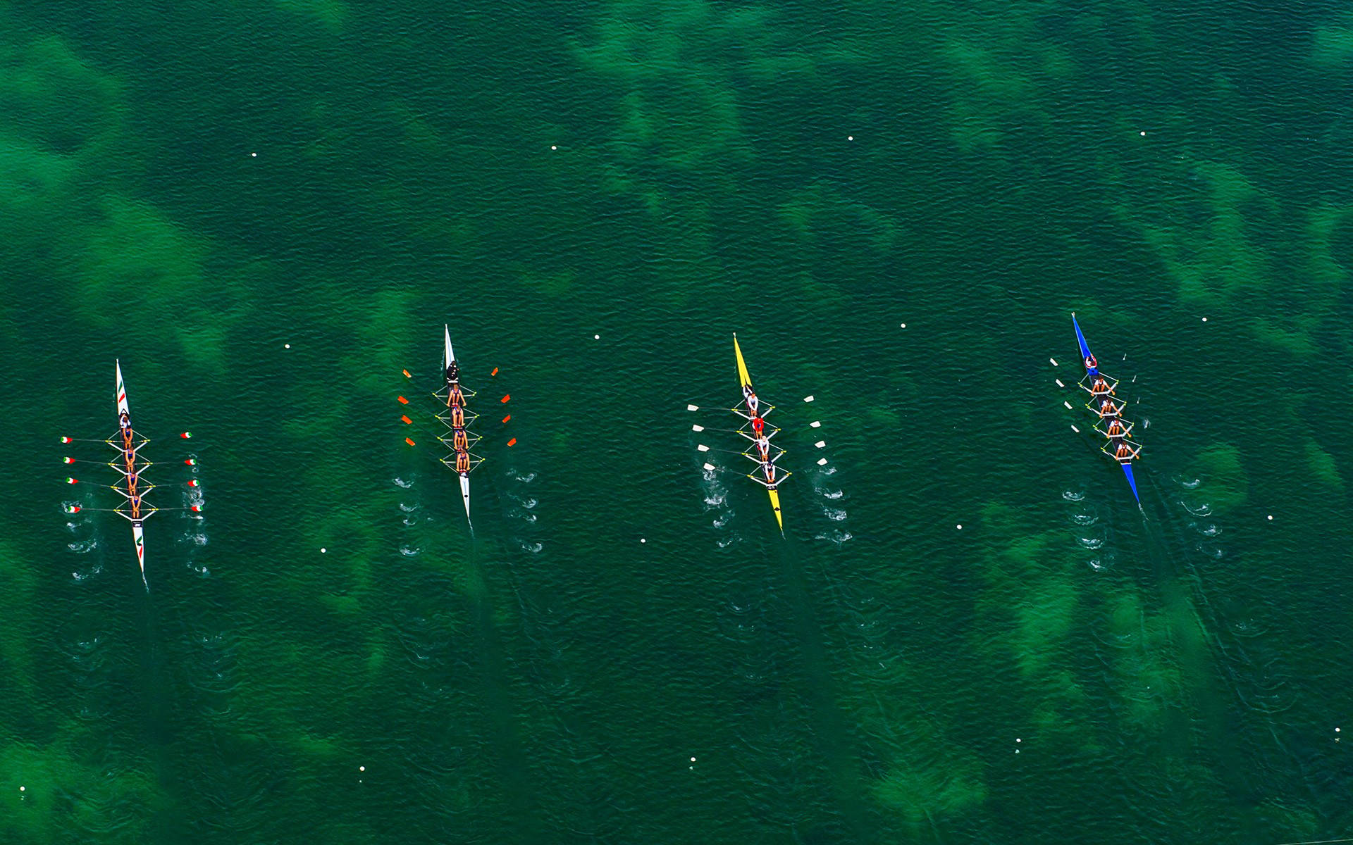 Coxless Four Rowing Competition Background