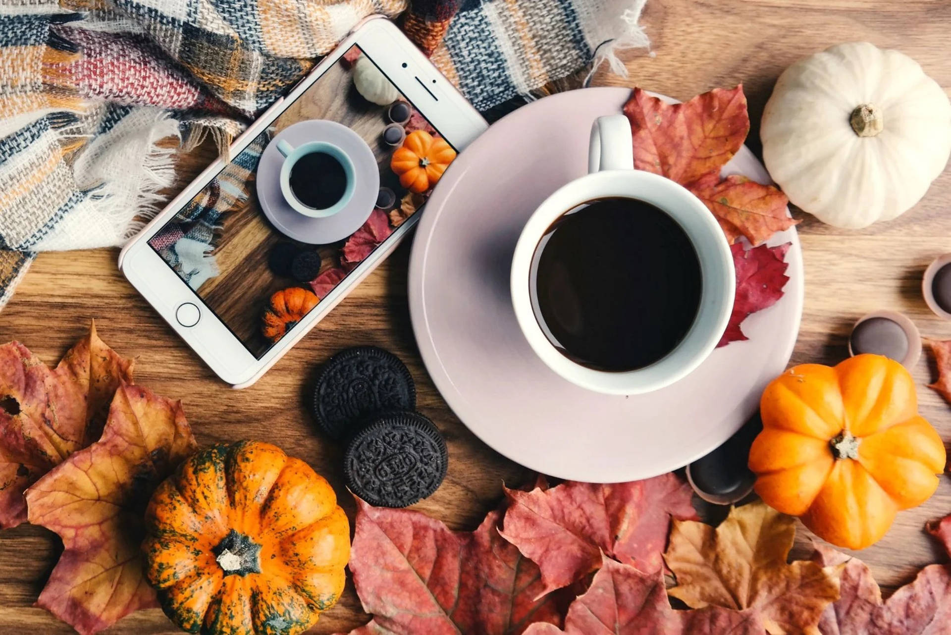 Cozy Aesthetic Fall Background