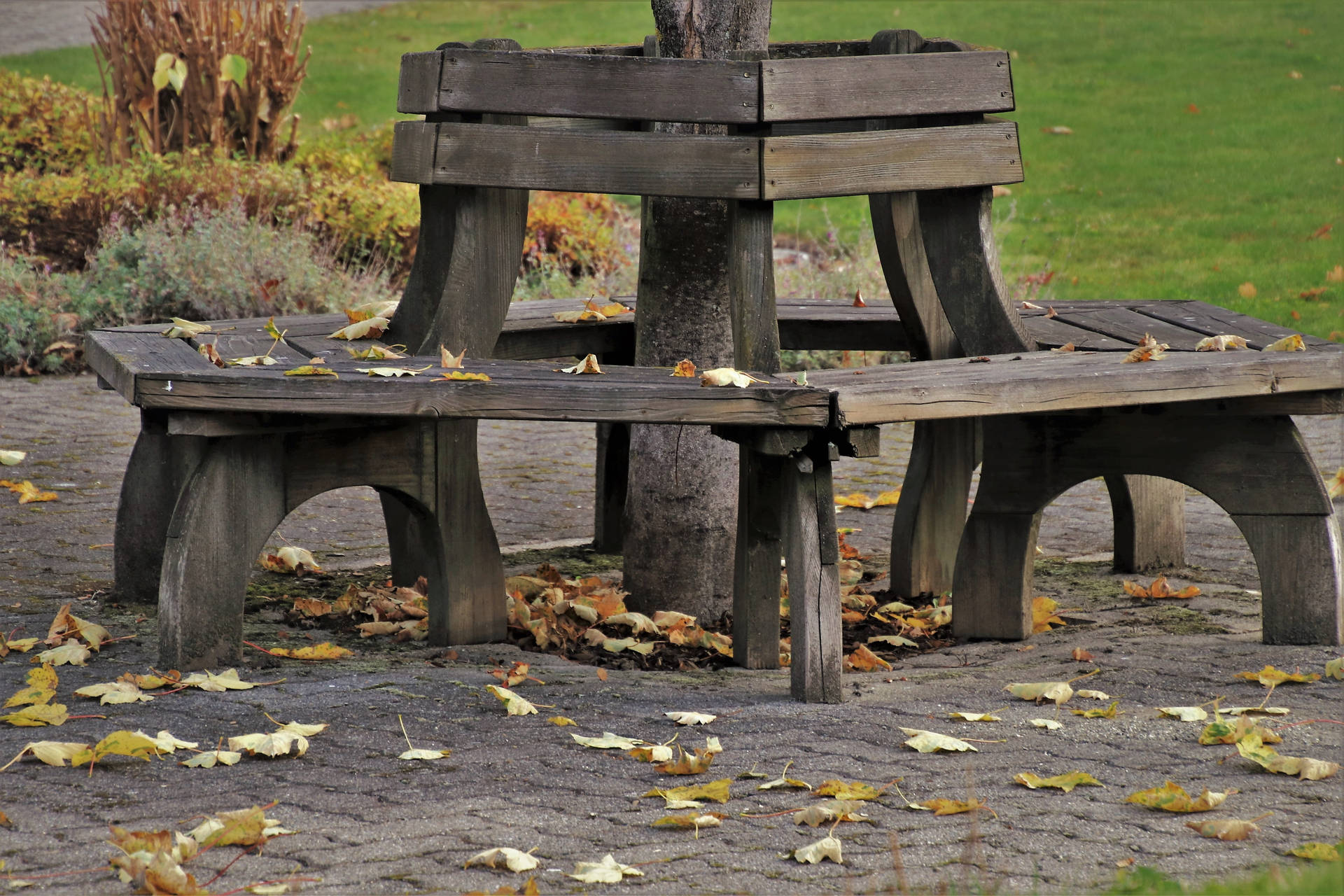 Cozy Autumn Benches Background