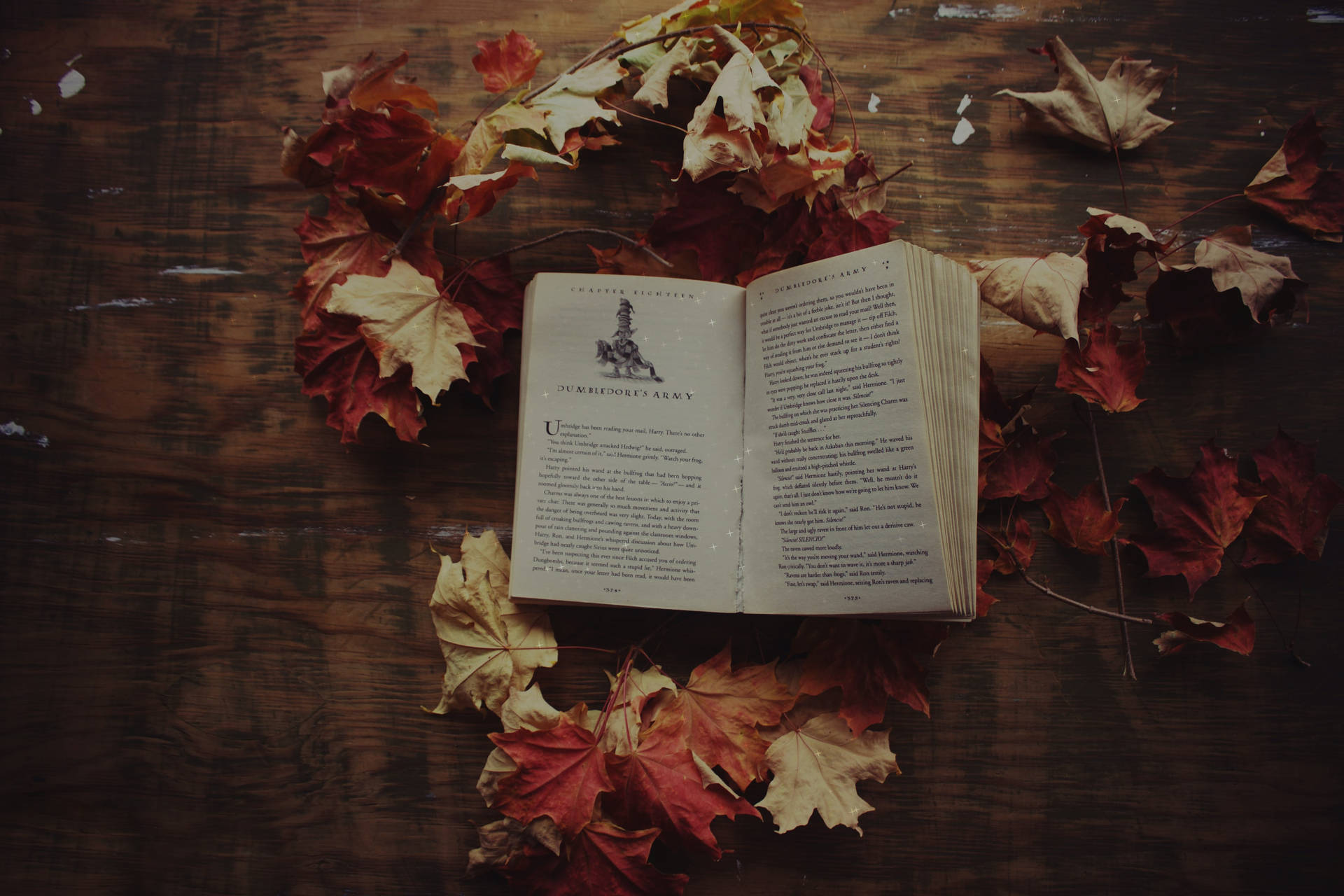 Cozy Autumn Book And Dried Leaves Background
