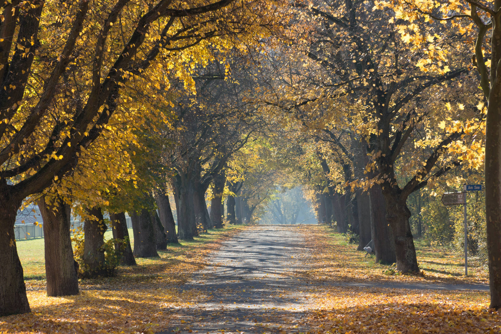 Cozy Autumn Empty Road Background