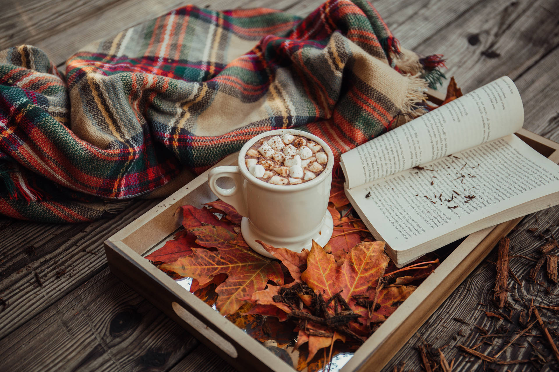 Cozy Autumn Hot Cocoa And Autumn Leaves Background