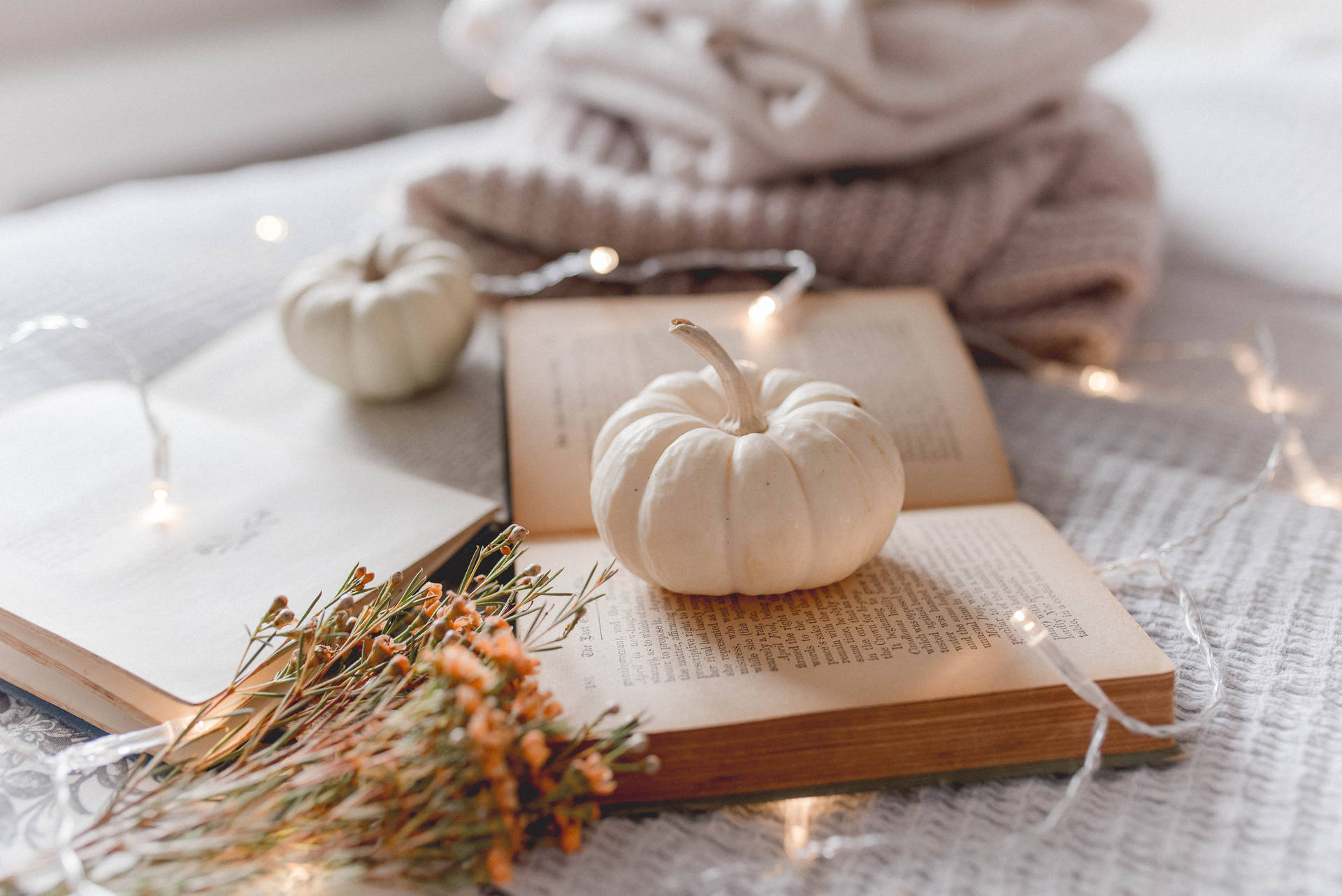 Cozy Autumn White Pumpkin Background