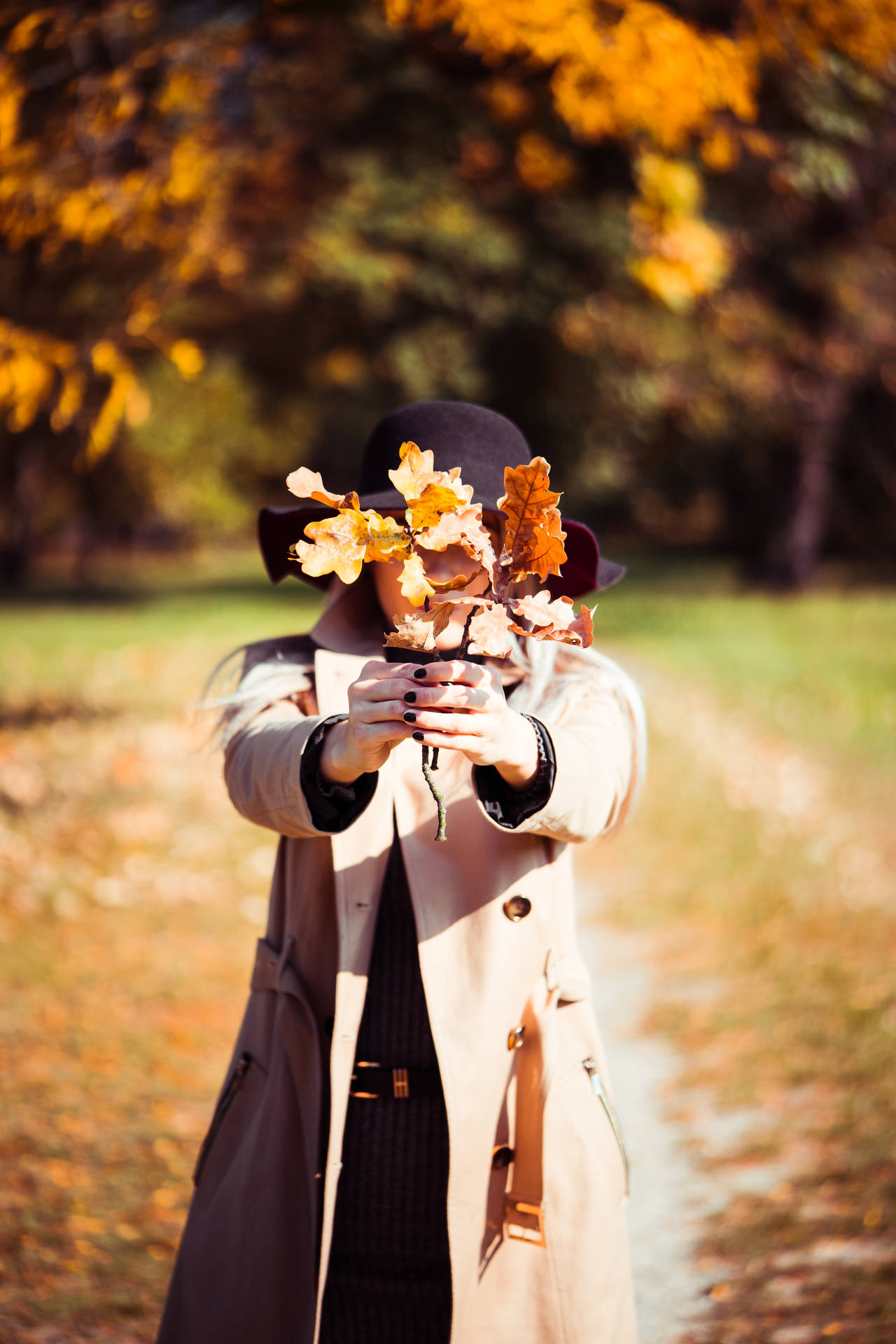 Cozy Autumn Woman Leaves Background