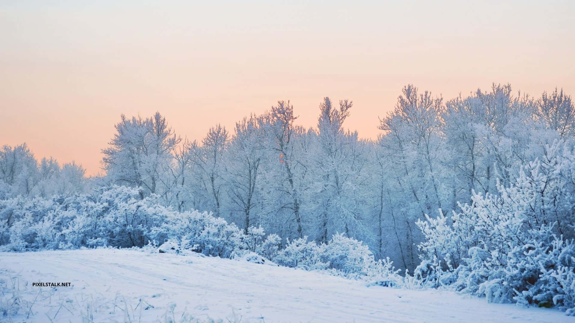 Cozy Cabin With Snowy Window Overlooking A Winter Wonderland Background