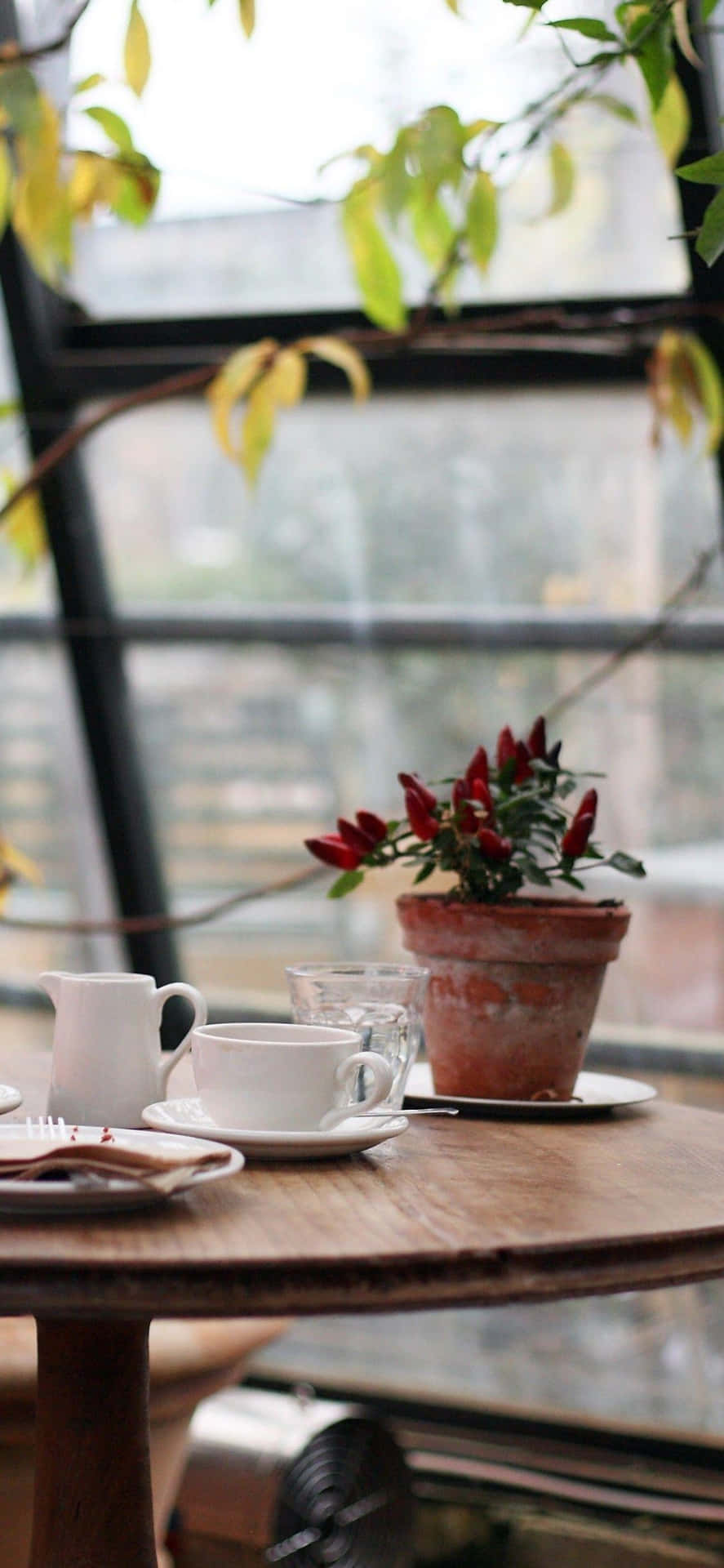 Cozy Cafe Table Setting Background