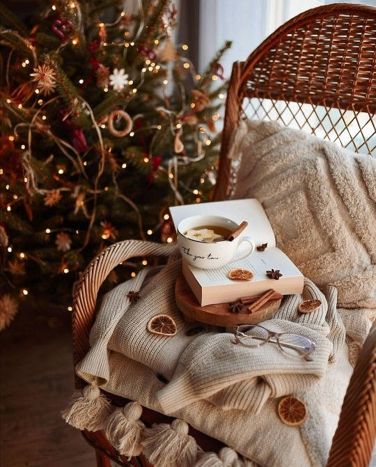 Cozy Christmas Aesthetic Book Background