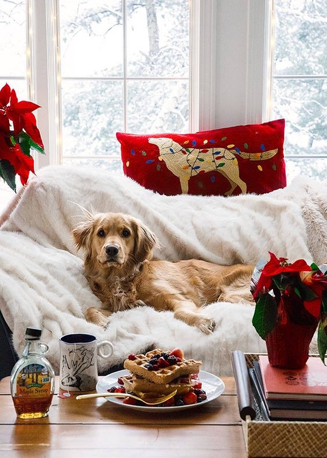 Cozy Christmas Aesthetic Dog On Couch Background