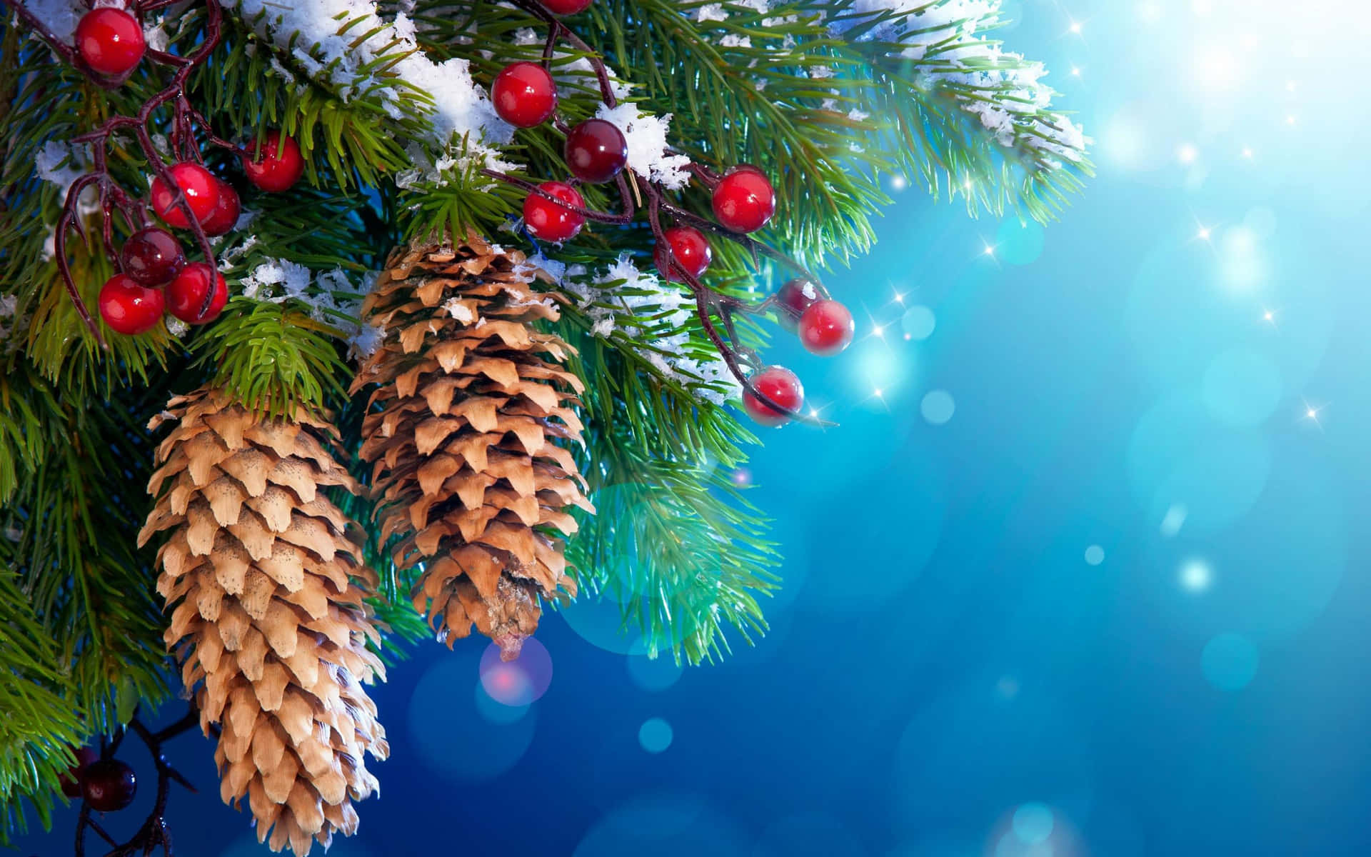 Cozy Christmas Conifer Cone Background